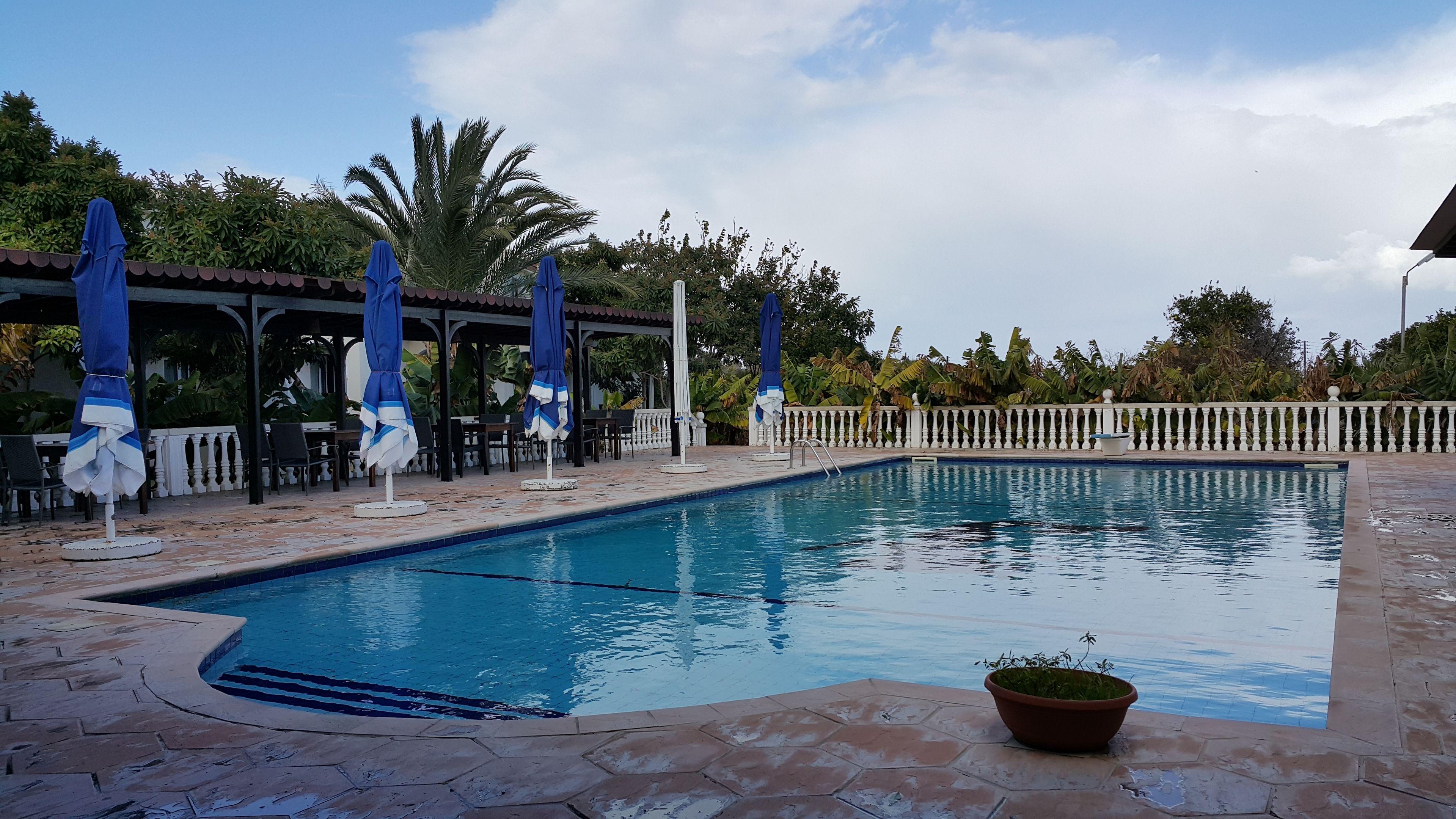 Club Alda — photo 4