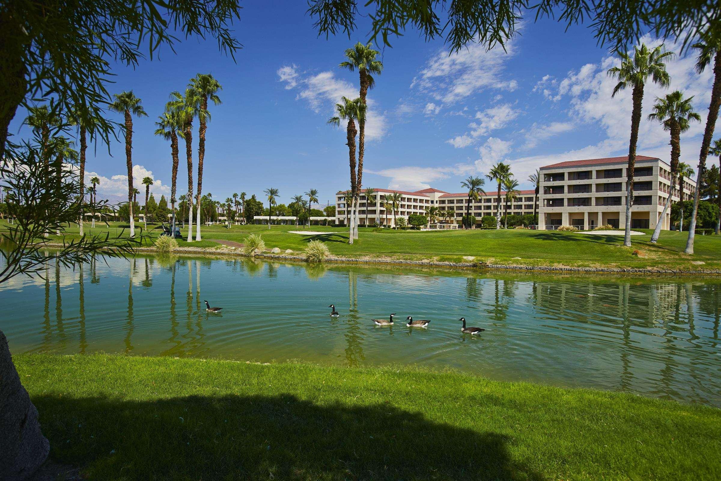DoubleTree by Hilton Hotel Golf Resort Palm Springs — photo 4