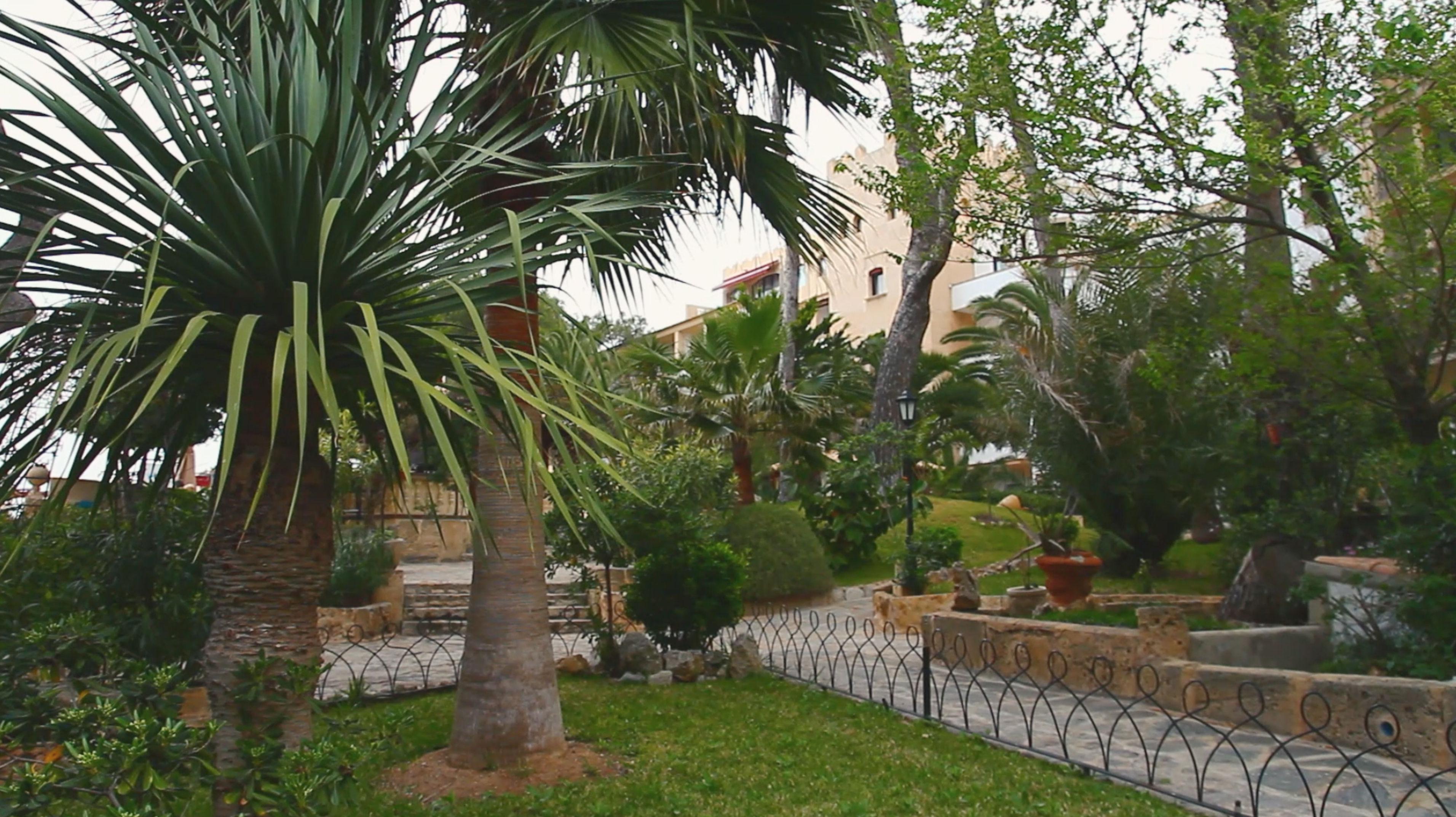 Secrets Mallorca Villamil Resort & Spa — photo 4