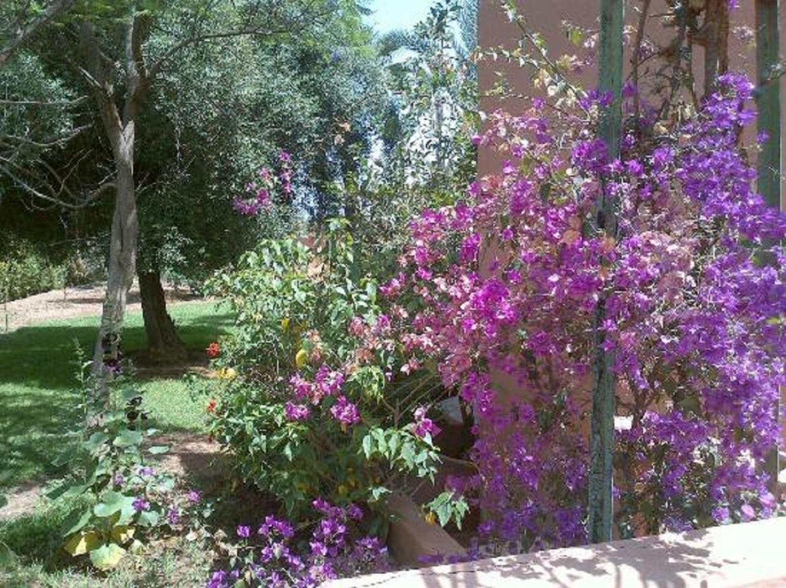 In Club Palmeraie Resorts — photo 4