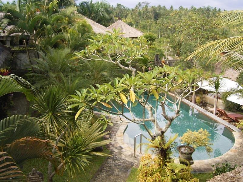 Bunga Permai — photo 4
