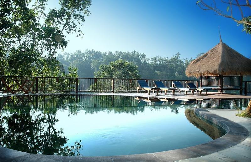 Nandini Bali Jungle Resort & Spa — photo 4