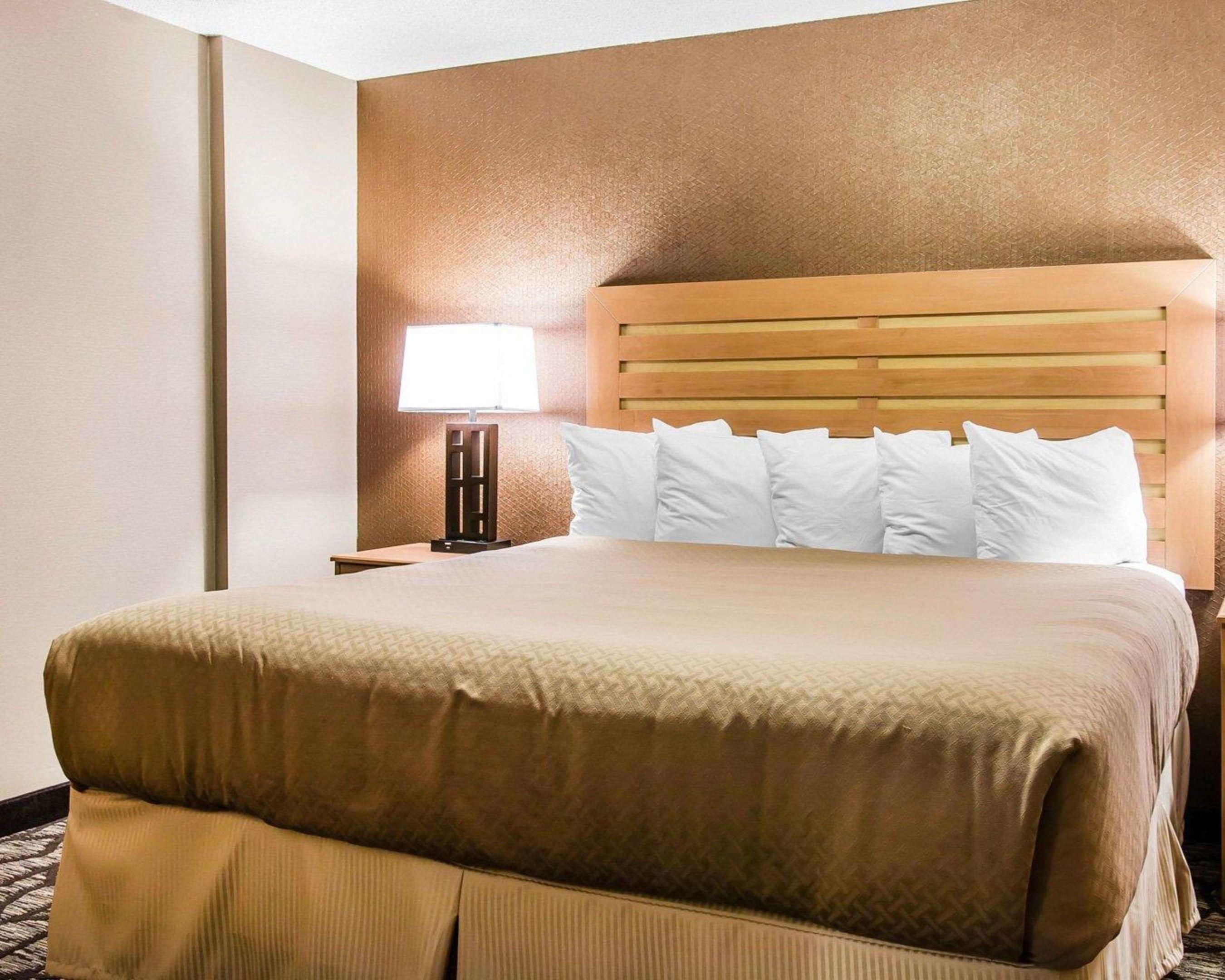 Quality Inn & Suites — photo 5