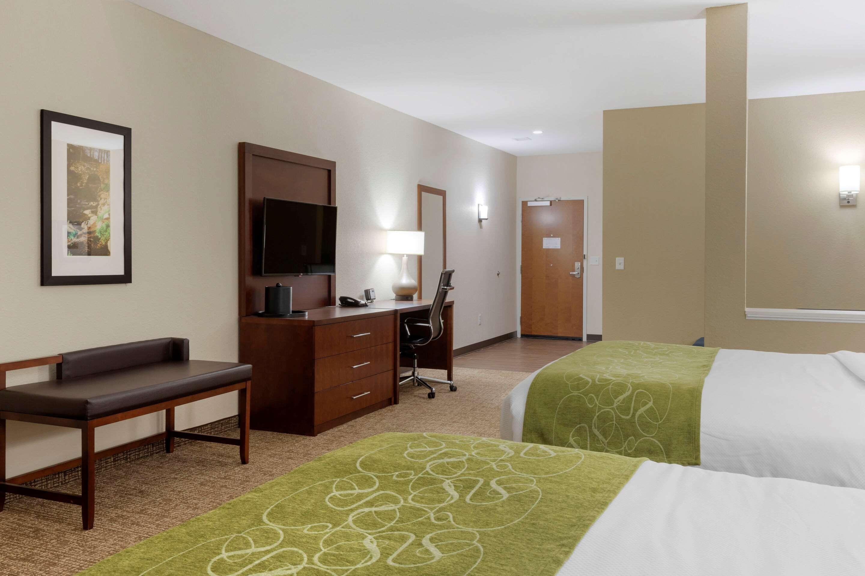 Comfort Suites Greenville South — photo 4