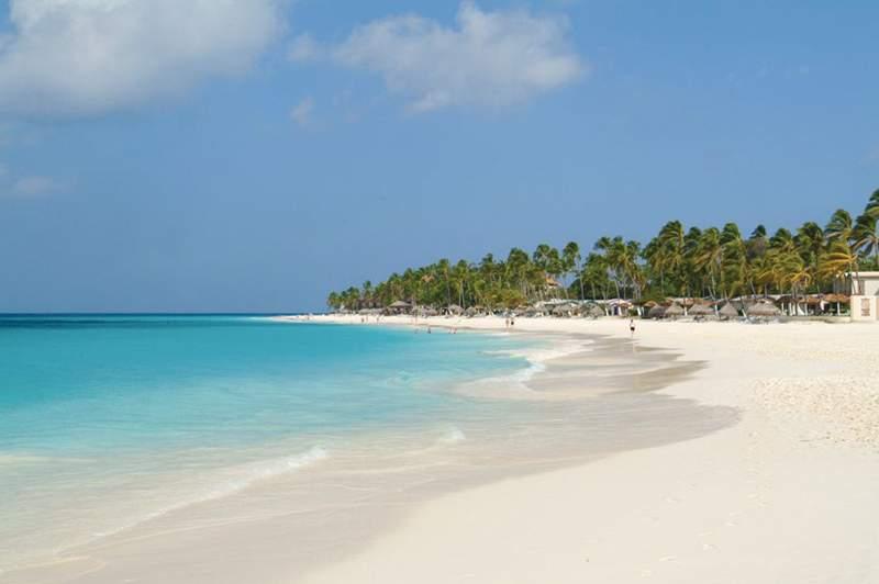 Divi Aruba All Inclusive & Tamarijn Aruba All Inclusive — photo 4