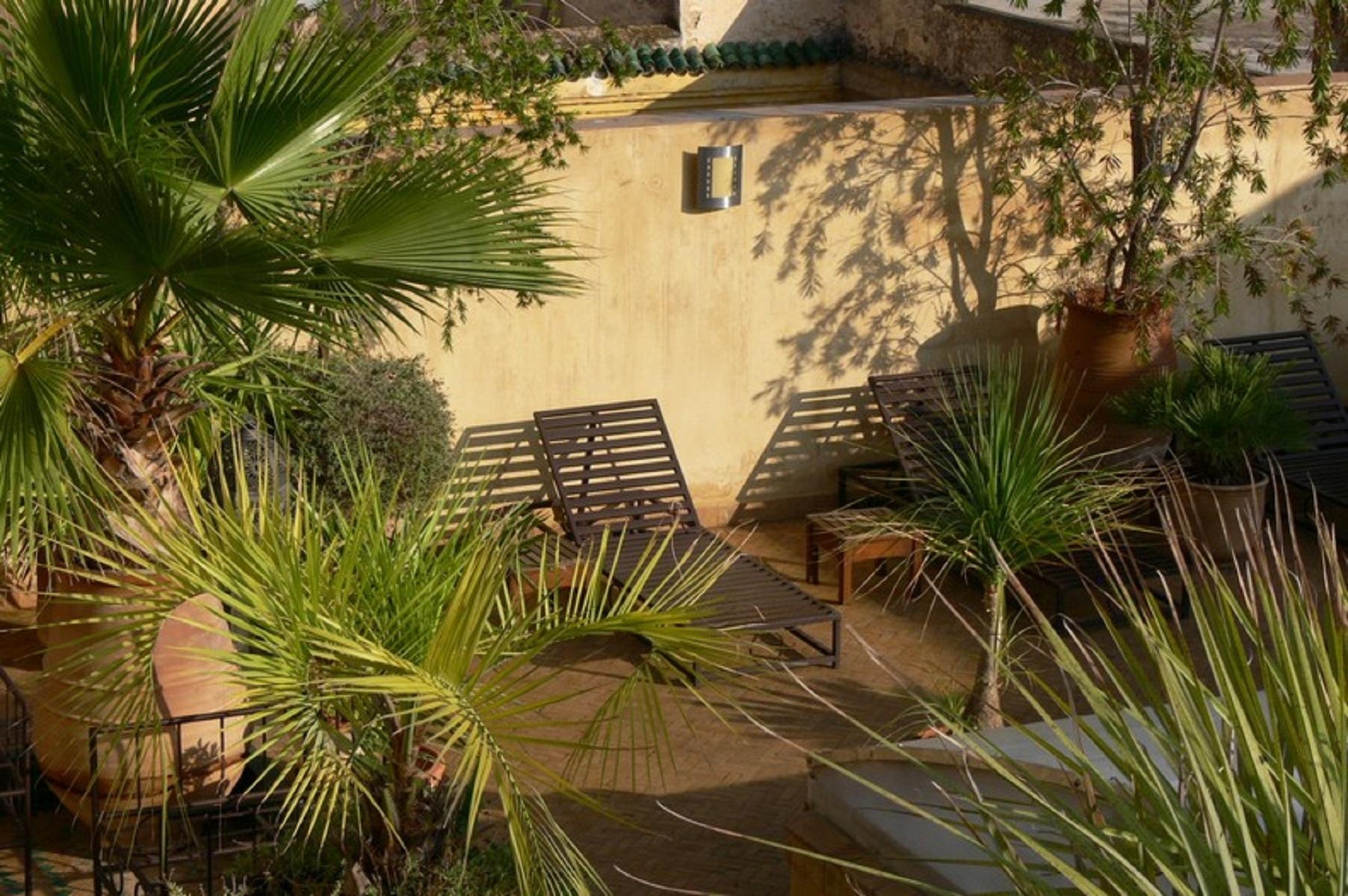 Riad Souafine — photo 4