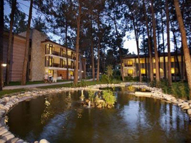 Champion Holiday Village — photo 4