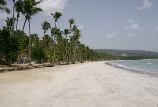 Coson Bay Hotel & Residences — photo 5