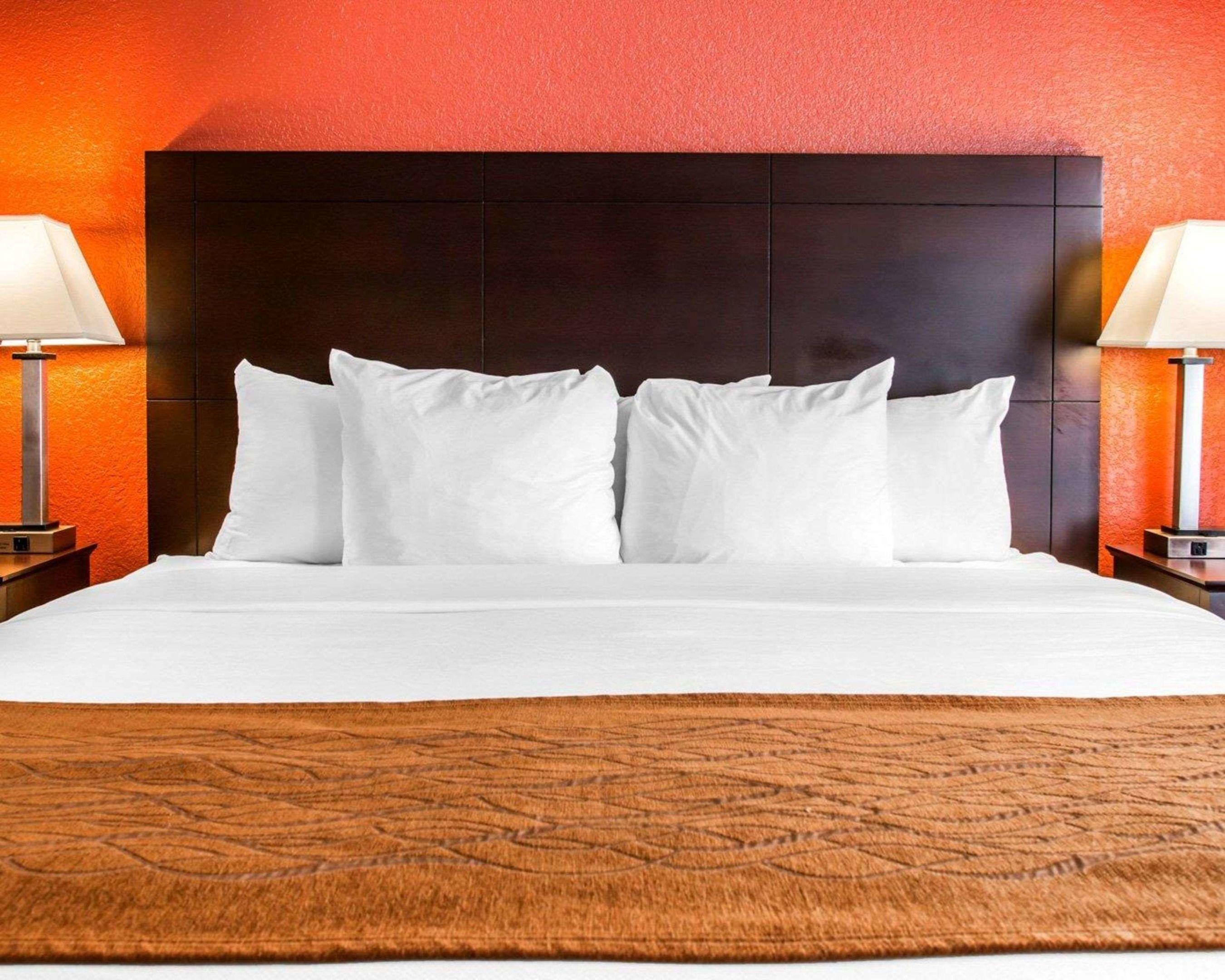 Comfort Inn & Suites and Conference Center — photo 4
