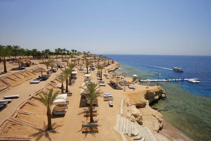 Grand Oasis Resort — photo 4