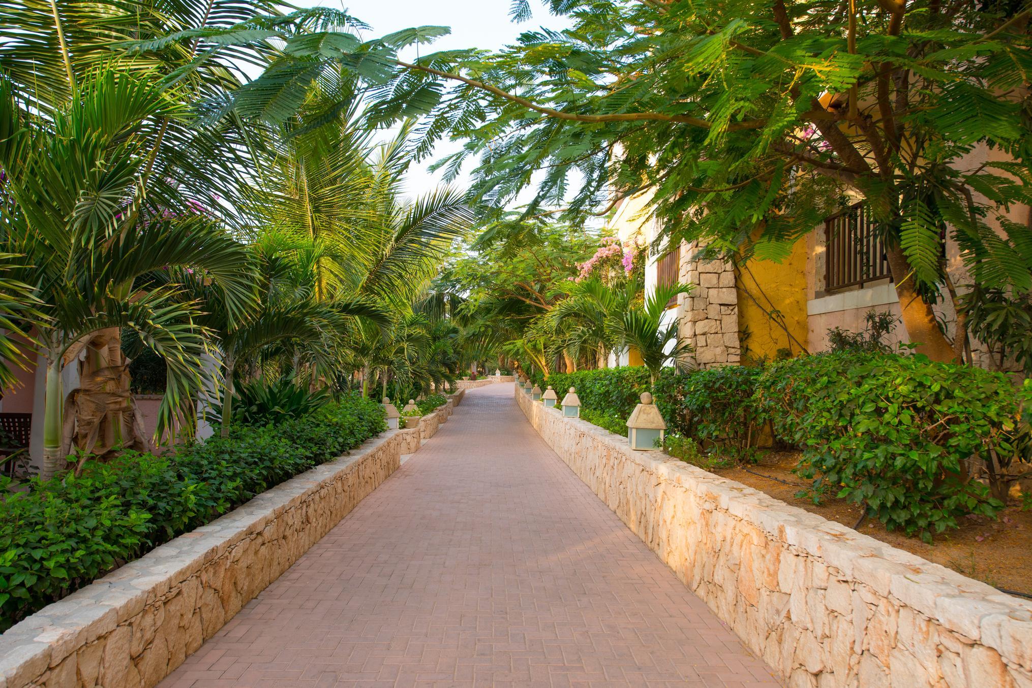 Iberostar Club Boa Vista — photo 4