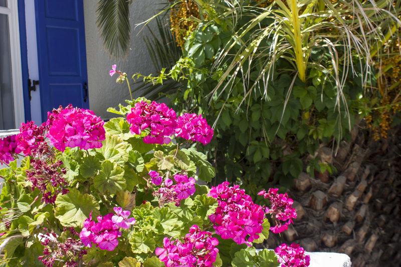 Naxos Holidays Hotel — photo 3