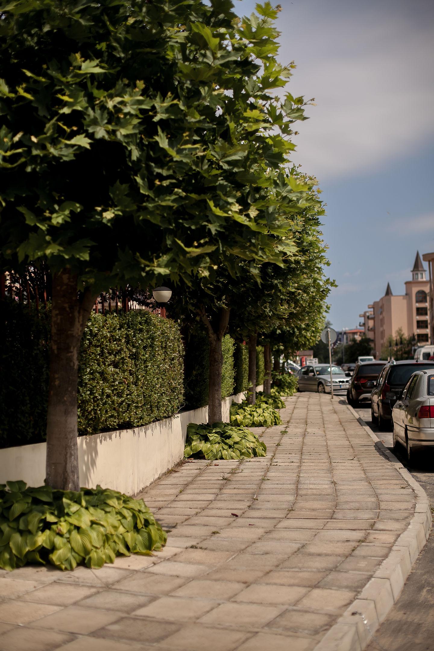 Sunny Holiday Apartments — photo 4