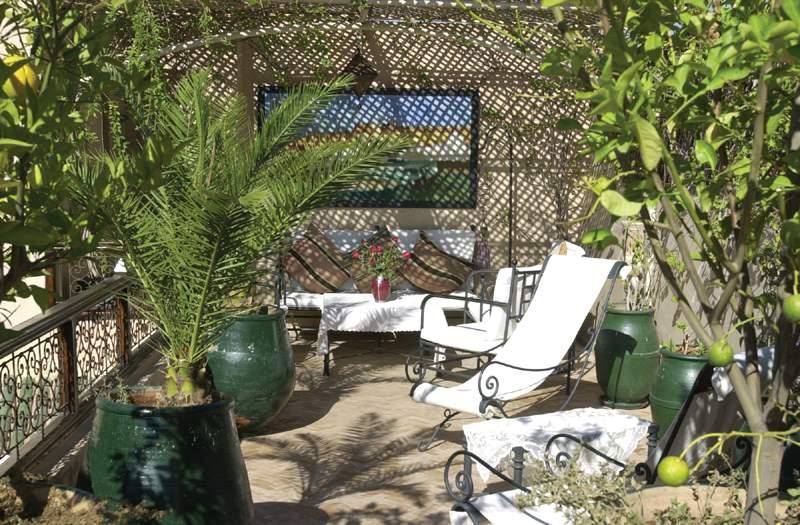 Riad Dama — photo 4