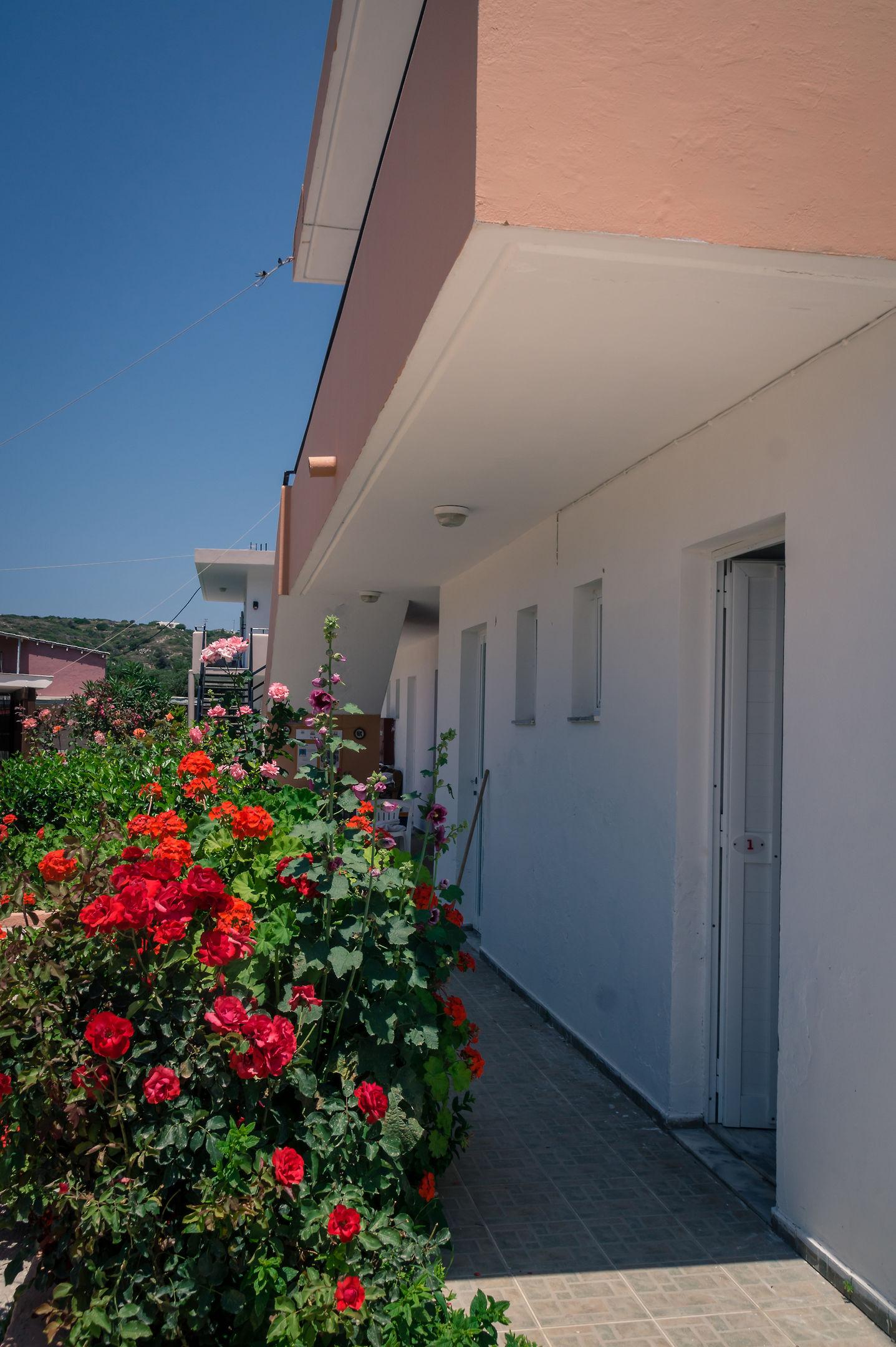 Kefalos Studios — photo 4