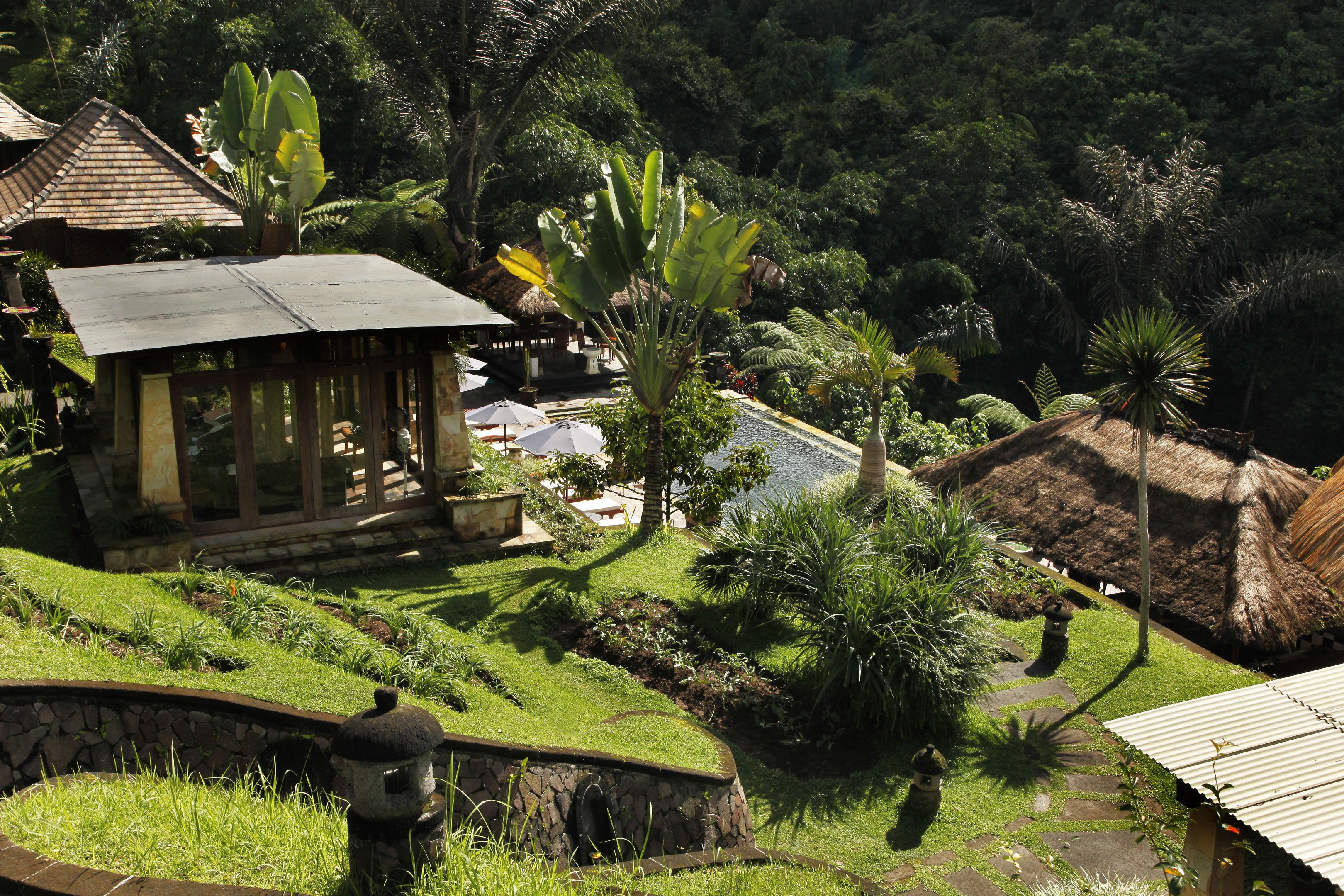 Bagus Jati Health & Well Being Retreat — photo 5