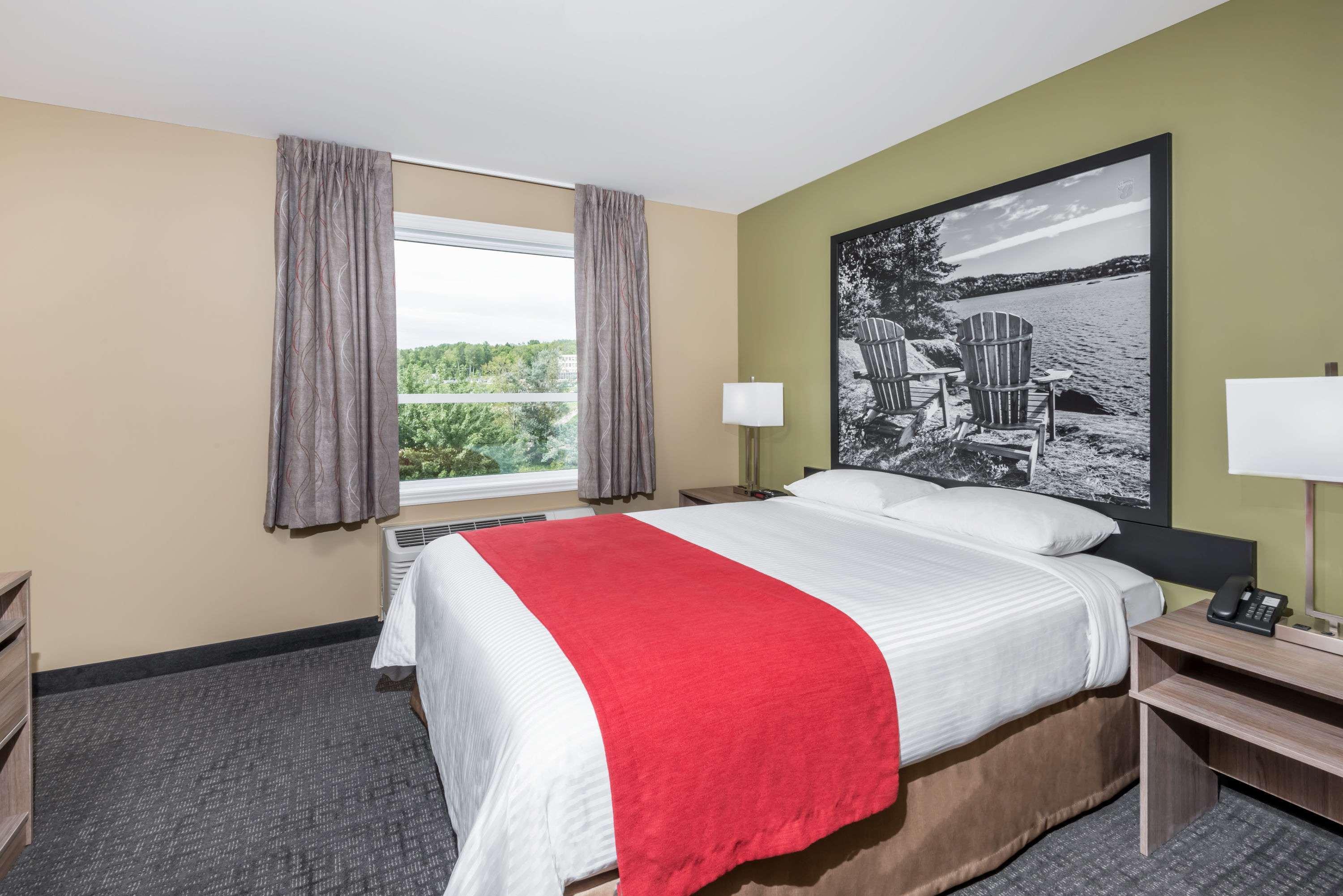 Super 8 by Wyndham Mont Laurier — photo 4