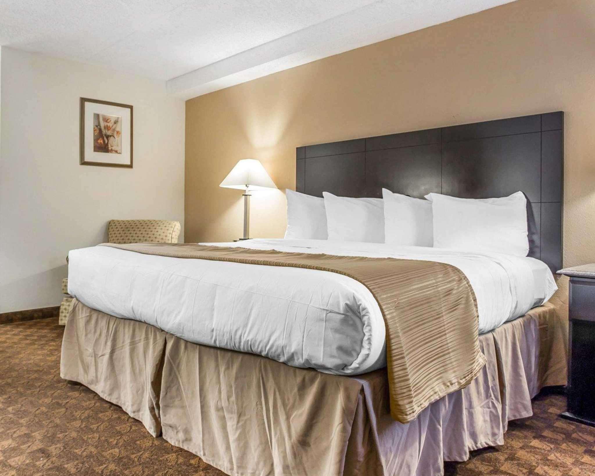 Quality Inn & Suites Coliseum — photo 5