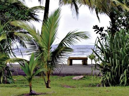Turtle Beach Lodge — photo 4