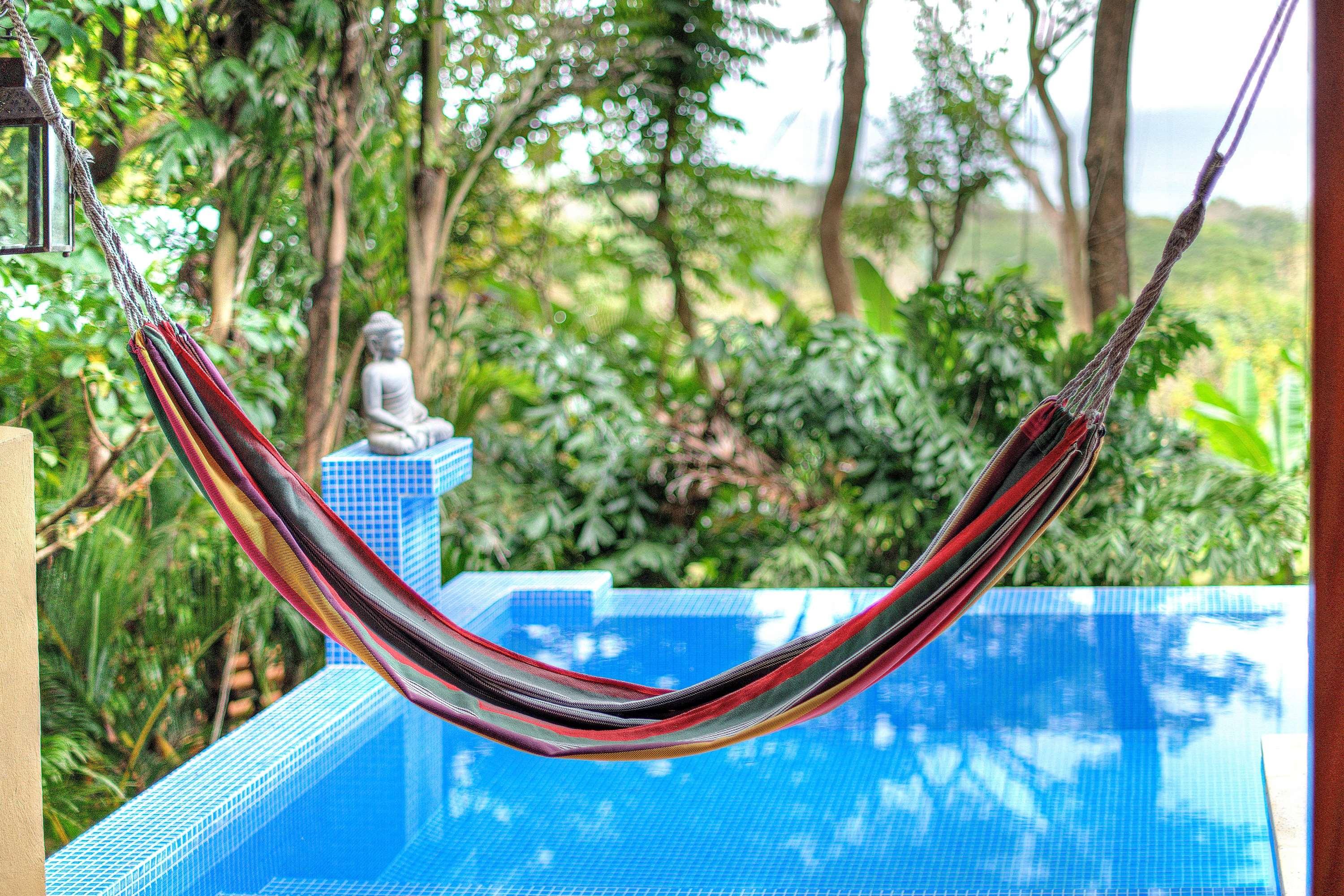 Hotel Casa Chameleon — photo 4