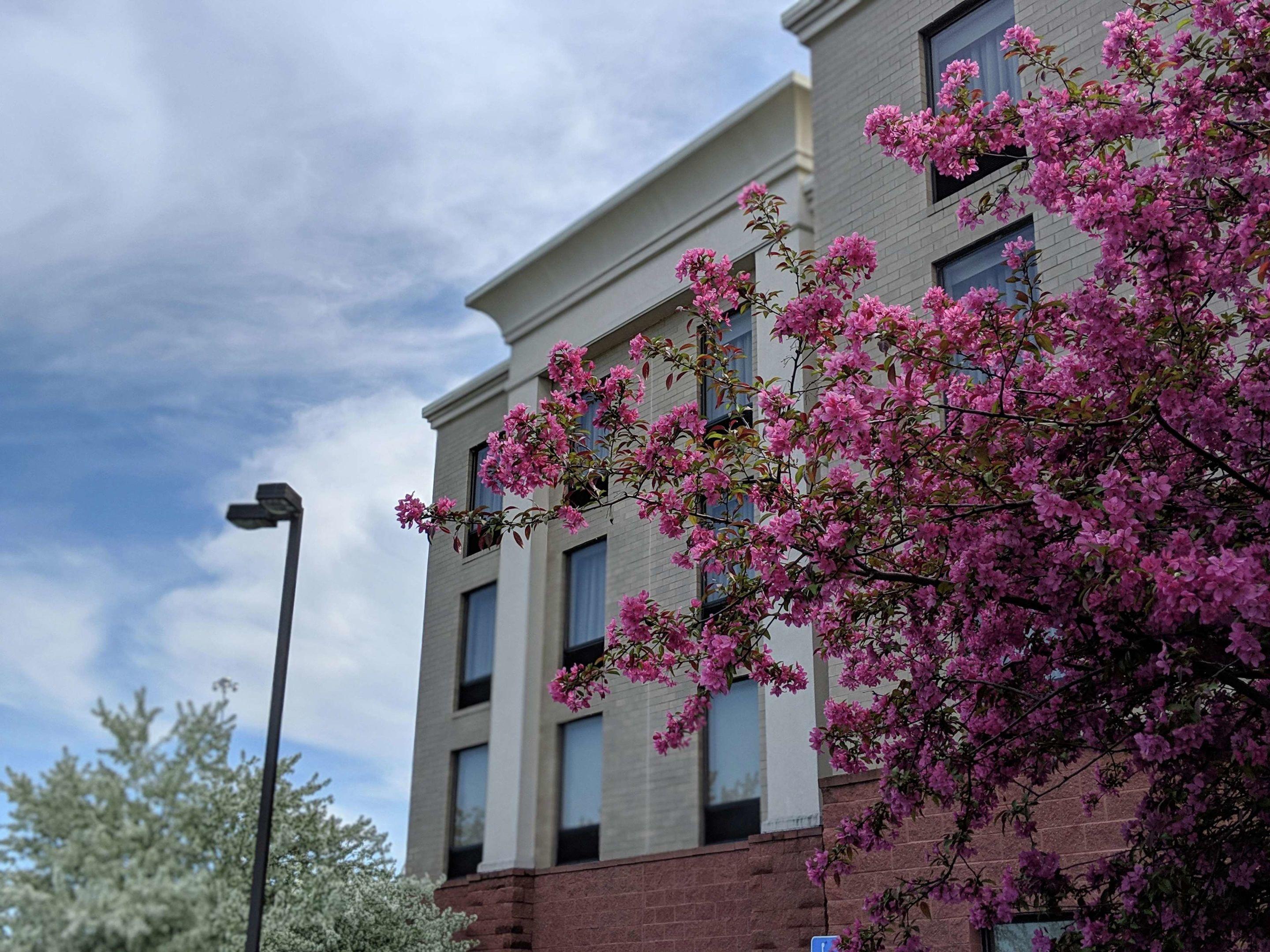 Hampton Inn & Suites Cincinnati Union Centre — photo 3