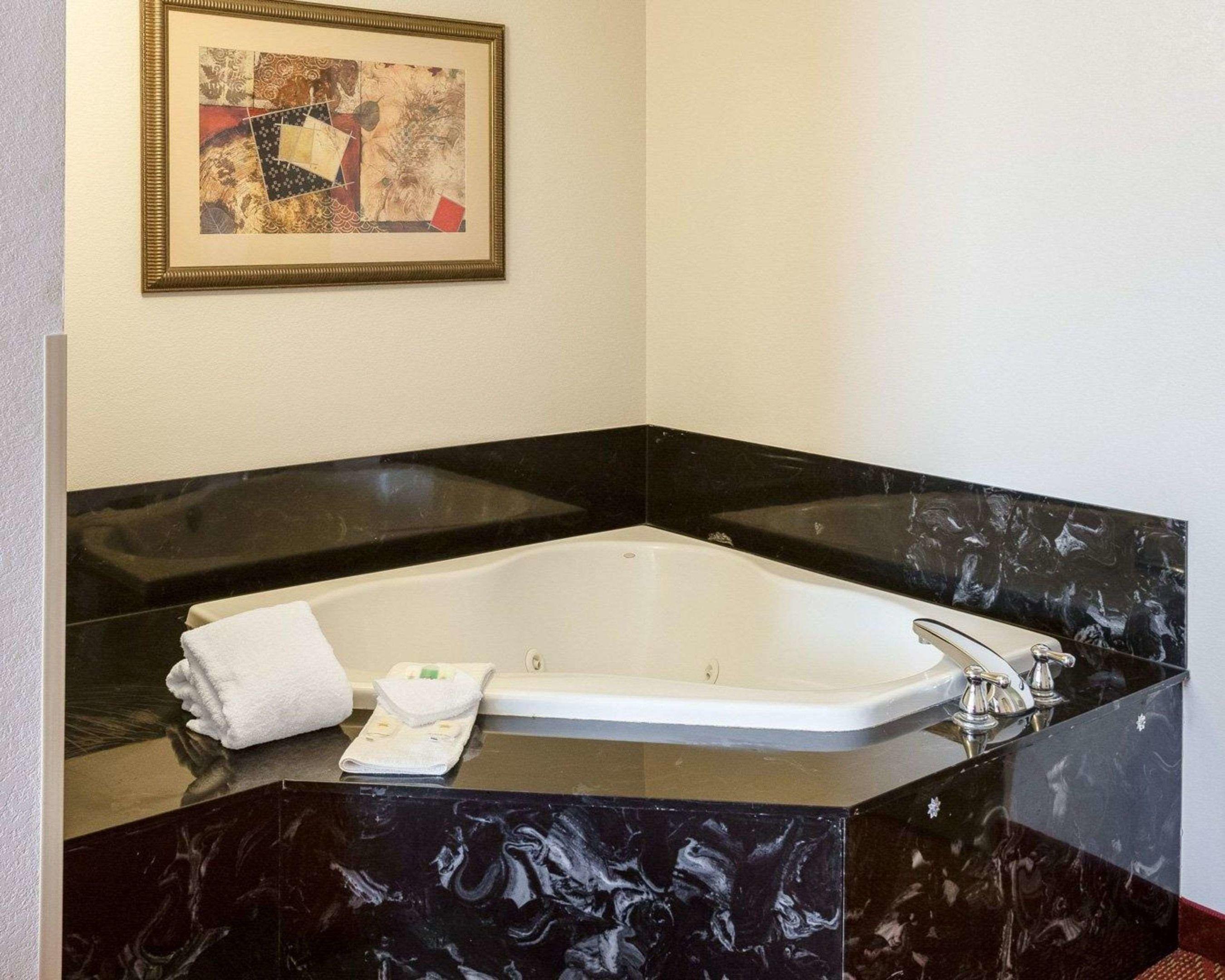 Comfort Inn & Suites Near Medical Center — photo 4