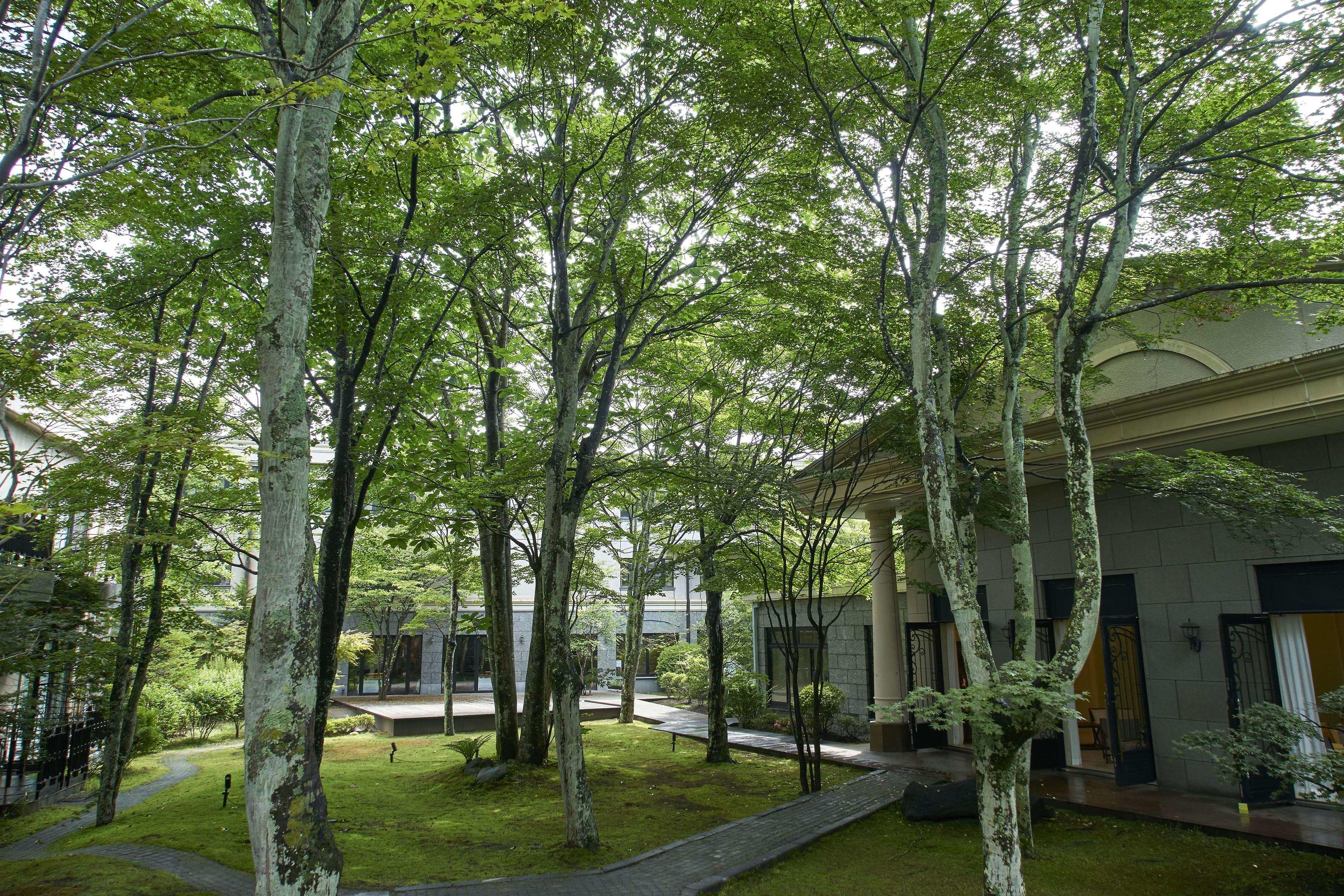 Kyukaruizawa Kikyo, Curio Collection by Hilton — photo 4