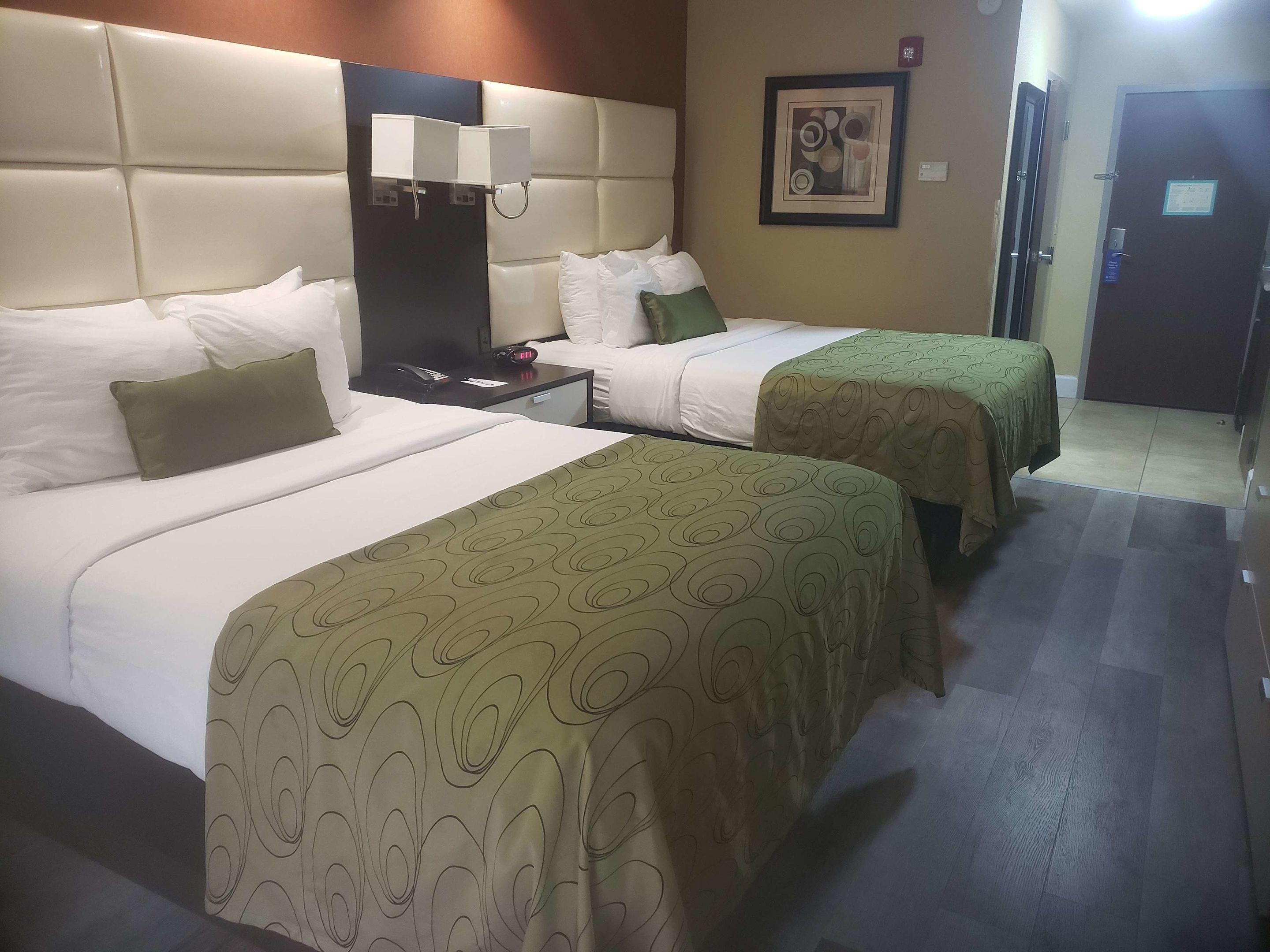 Best Western Plus JFK Inn & Suites — photo 5