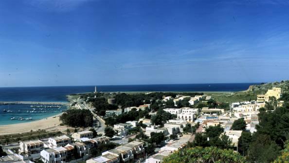 Panoramic — photo 5