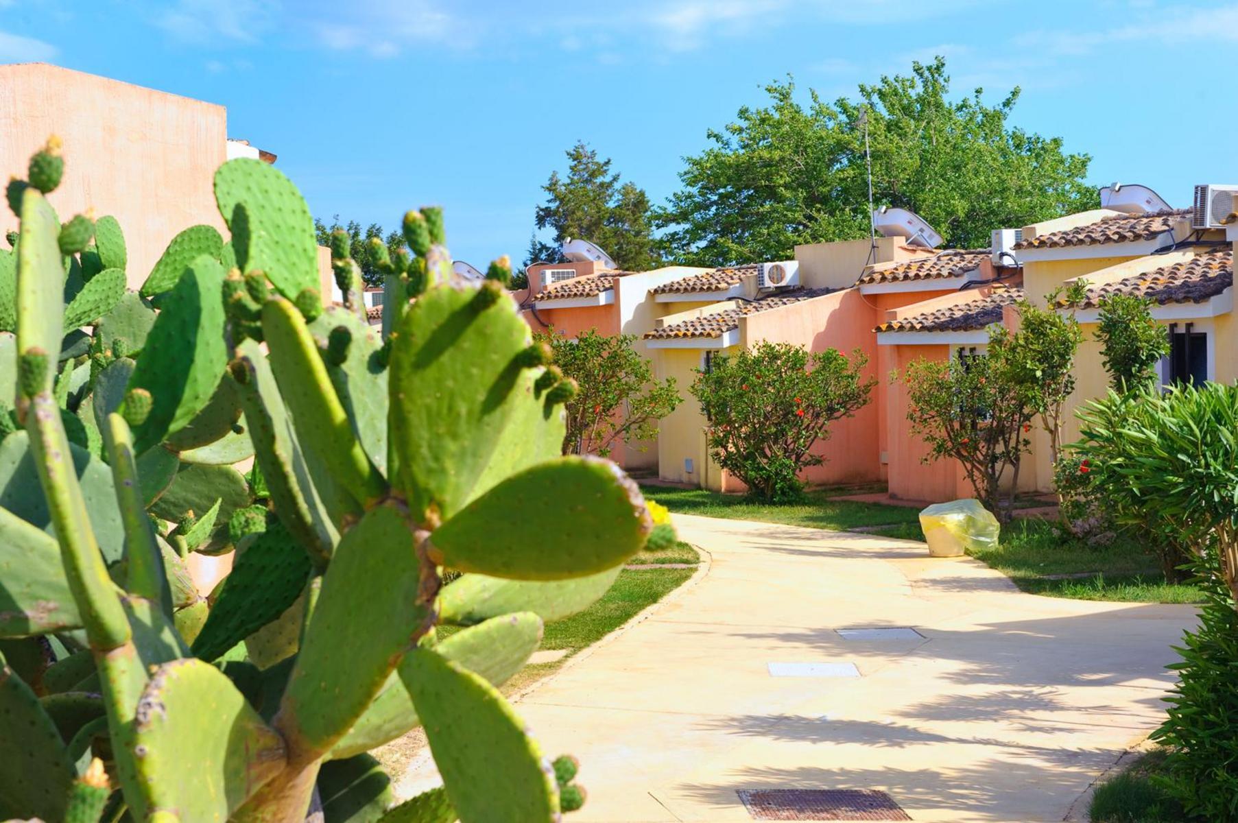 Hotel Altura — photo 5