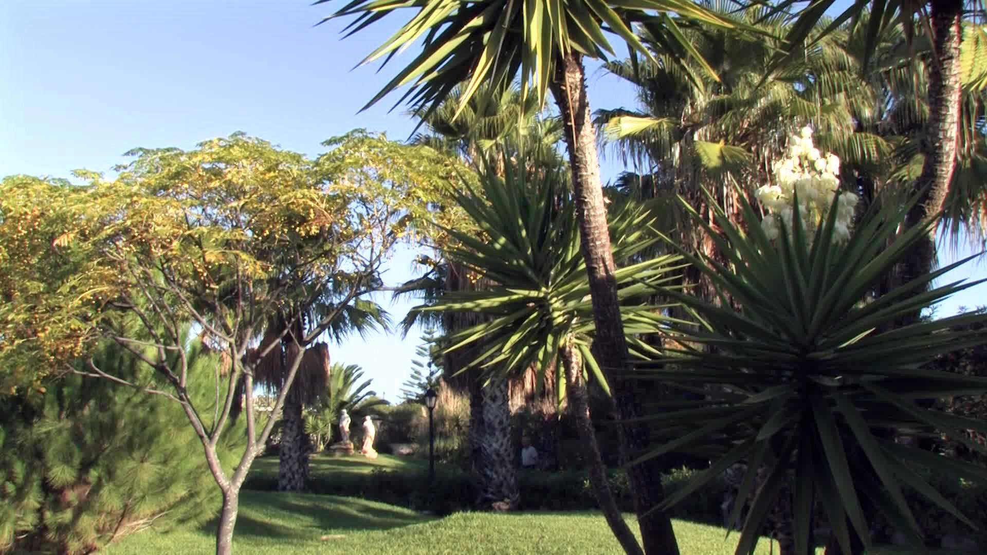 Quinta do Mar - Country & Sea Village — photo 5