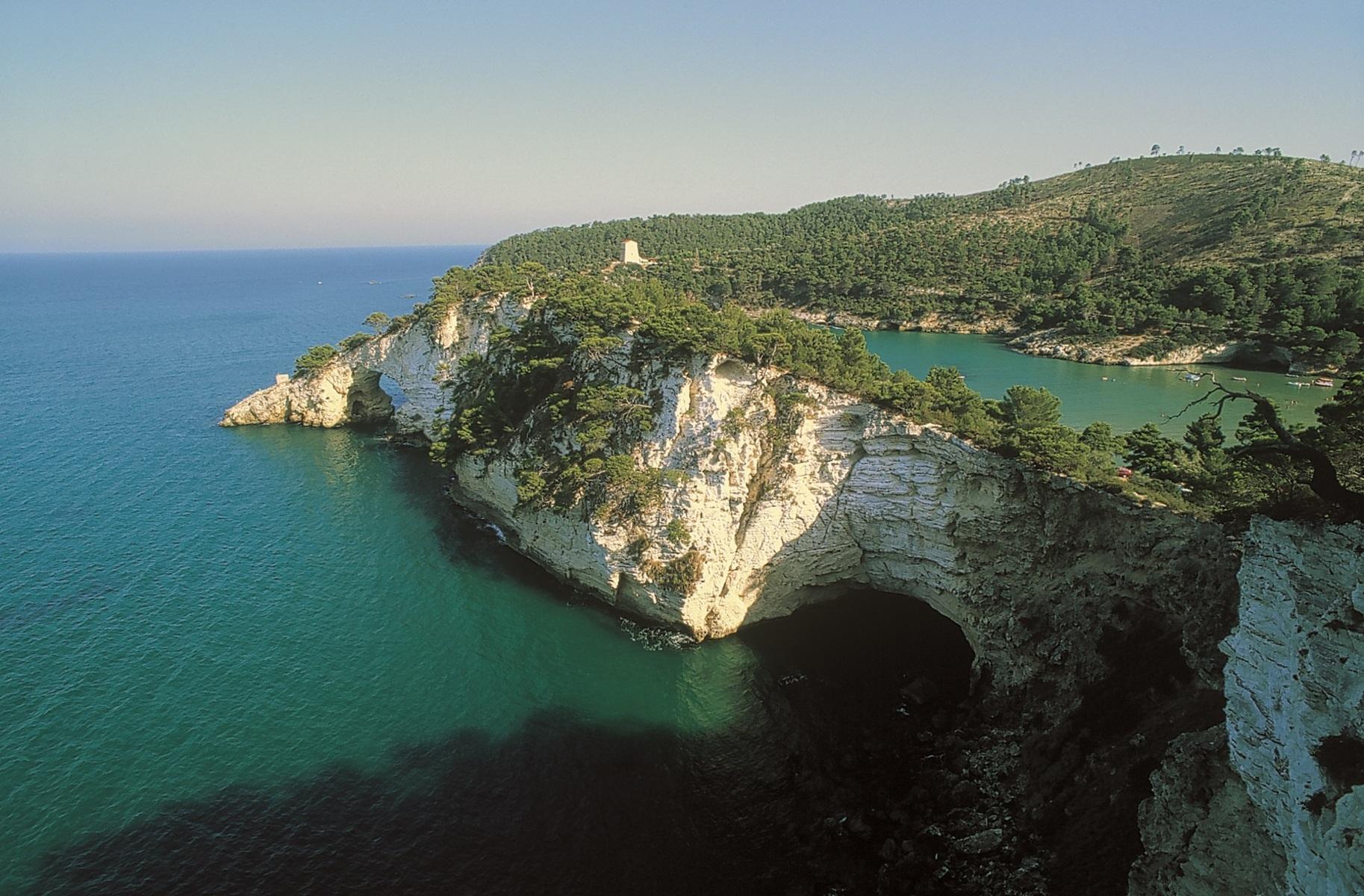 Degli Aranci — photo 5