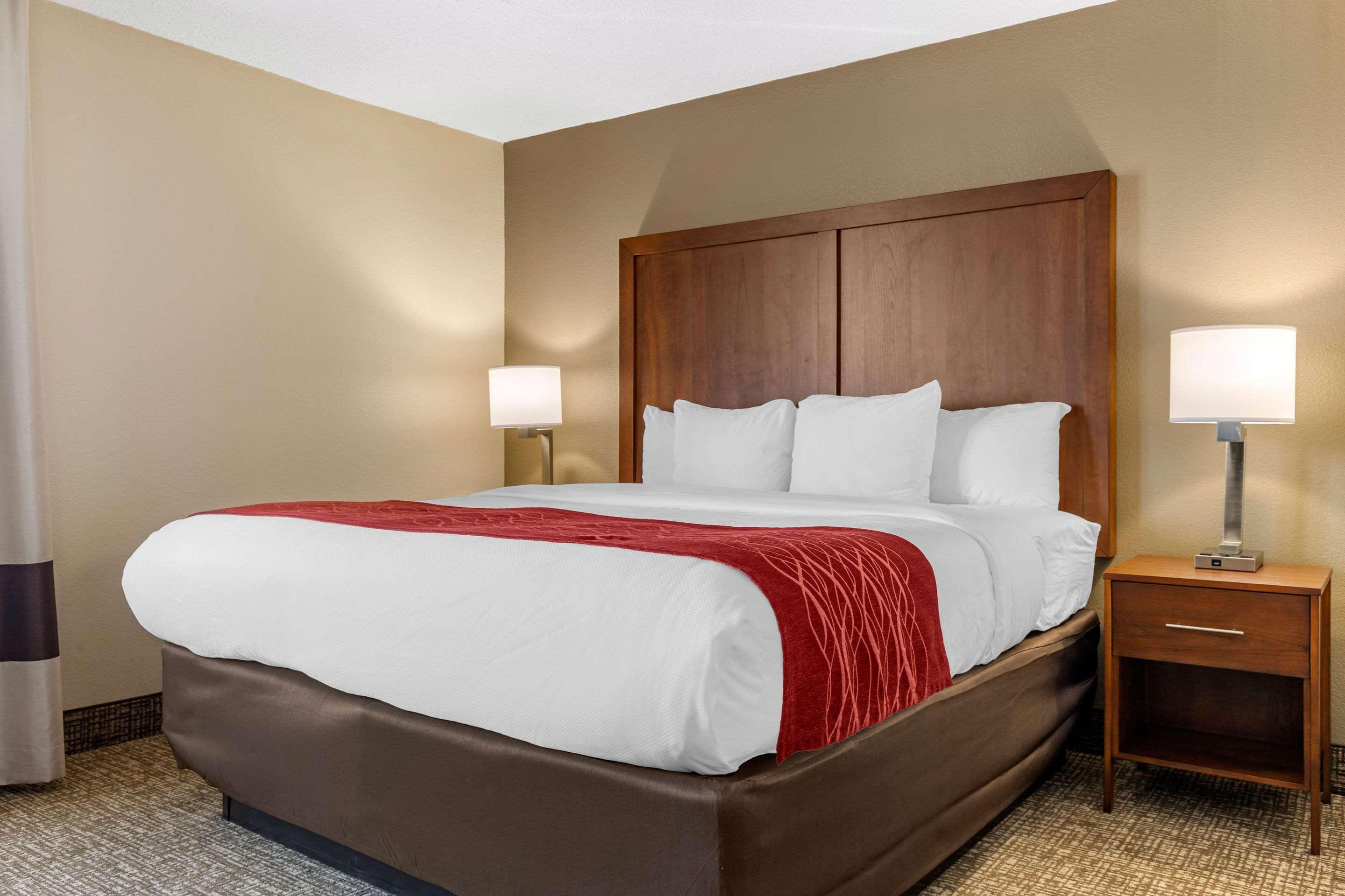 Comfort Inn University — photo 5