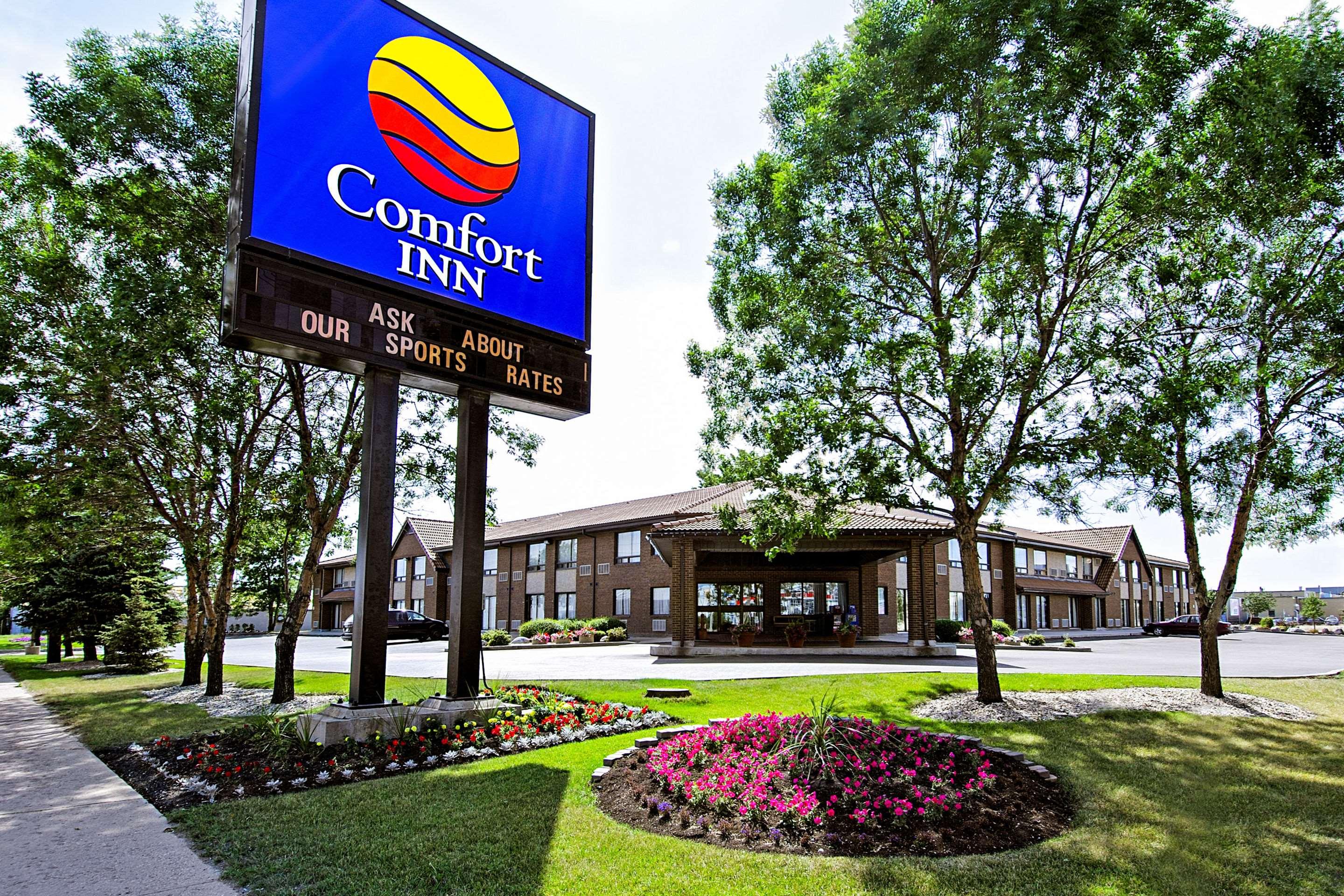 Comfort Inn Airport — photo 4