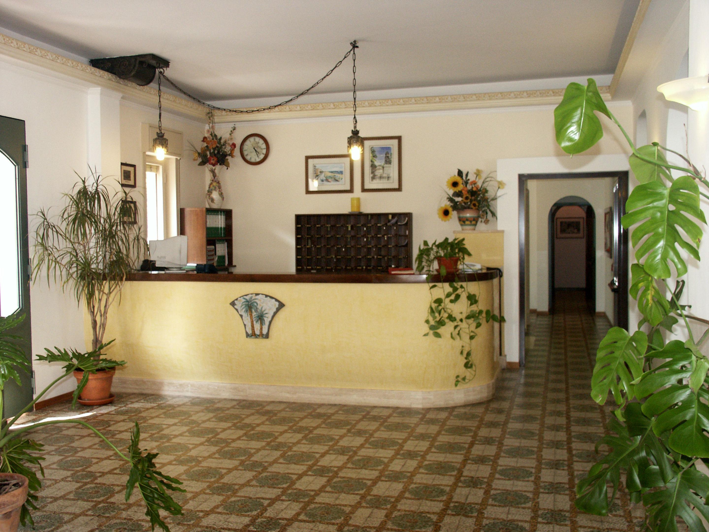 Delle Palme — photo 4