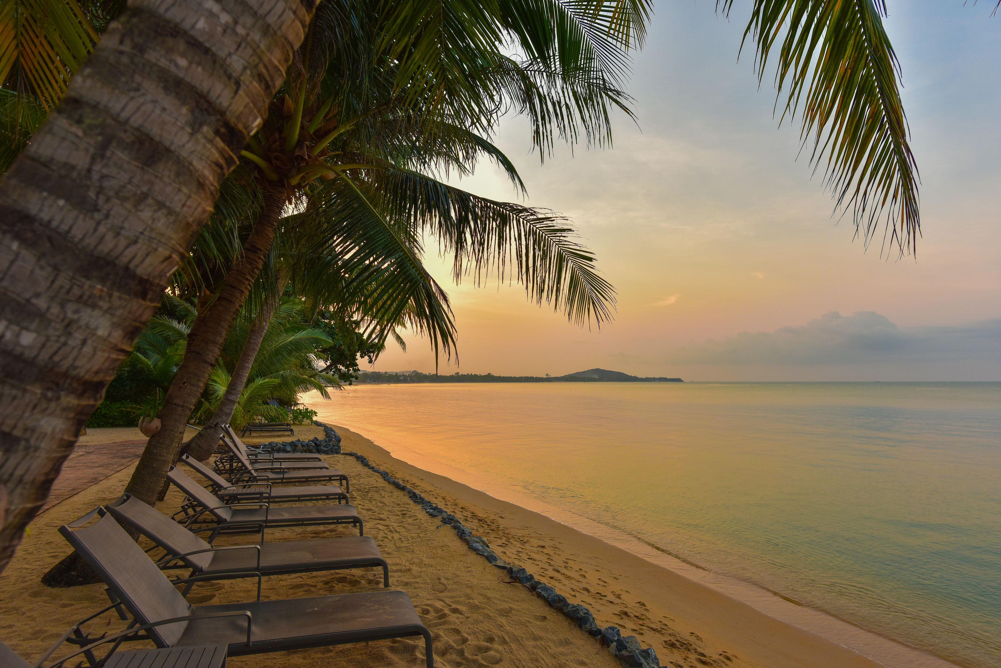 Paradise Beach Resort — photo 5