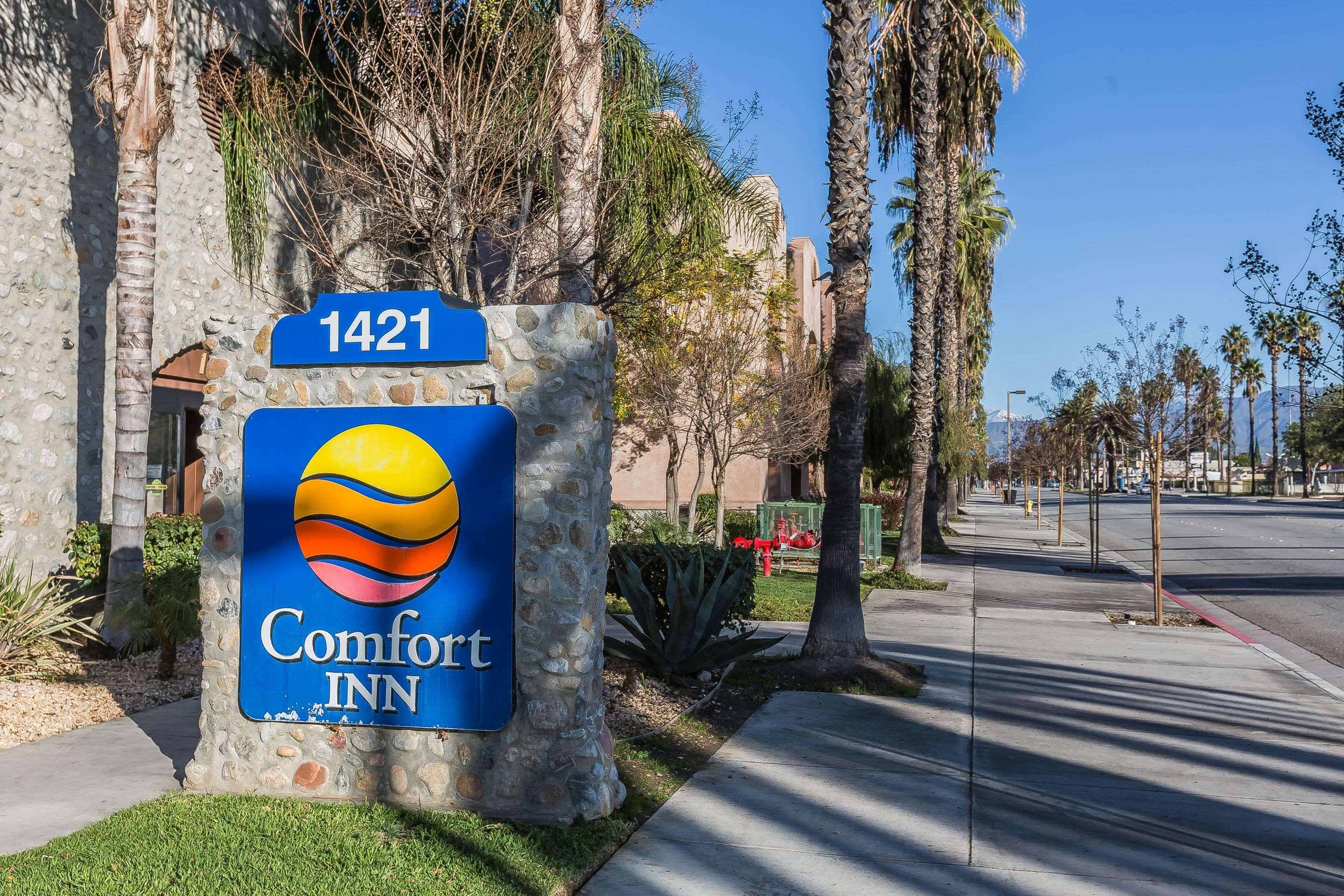 Comfort Inn Pomona Near Fairplex — photo 5