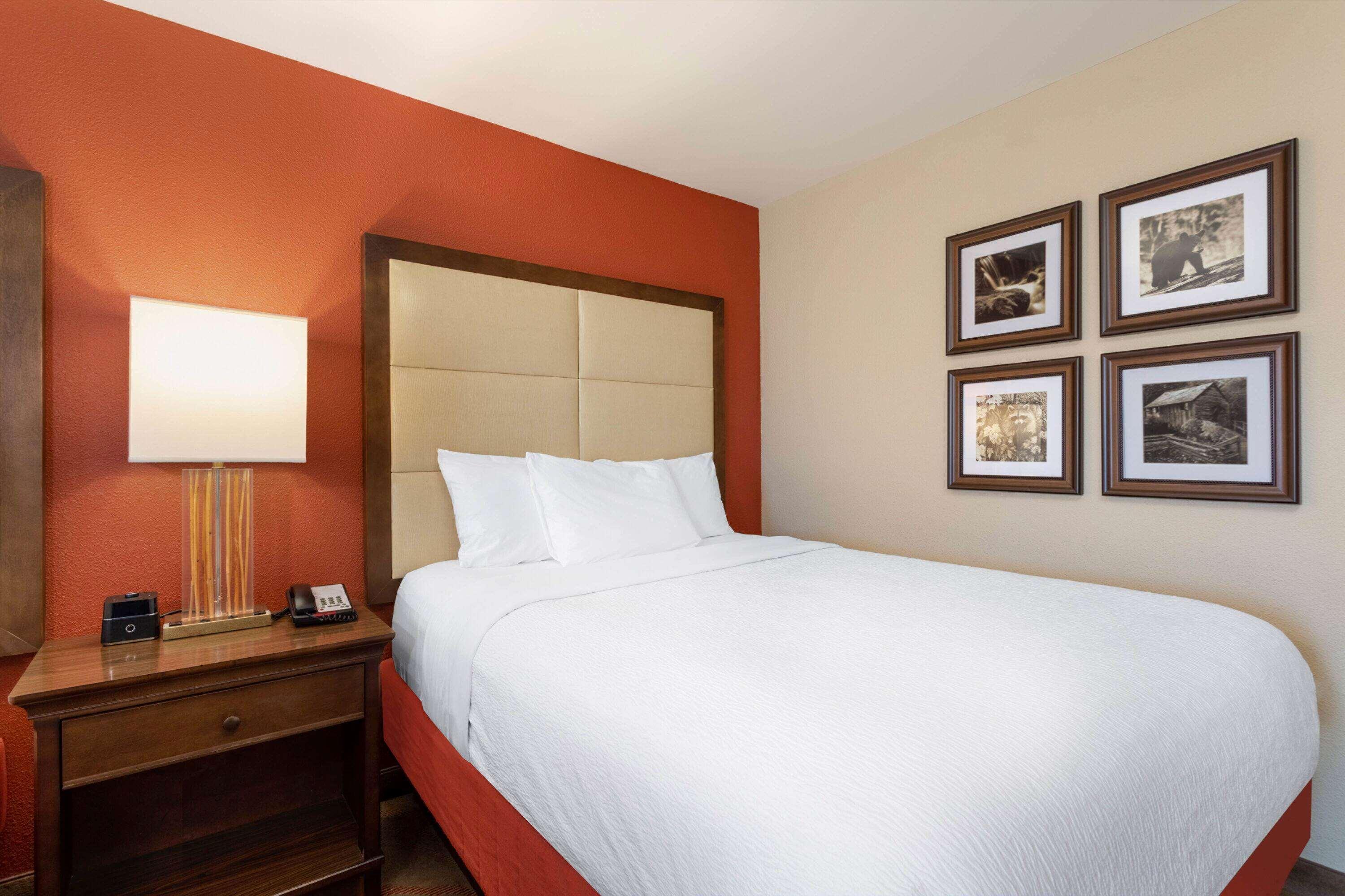La Quinta Inn & Suites Pigeon Forge — photo 4