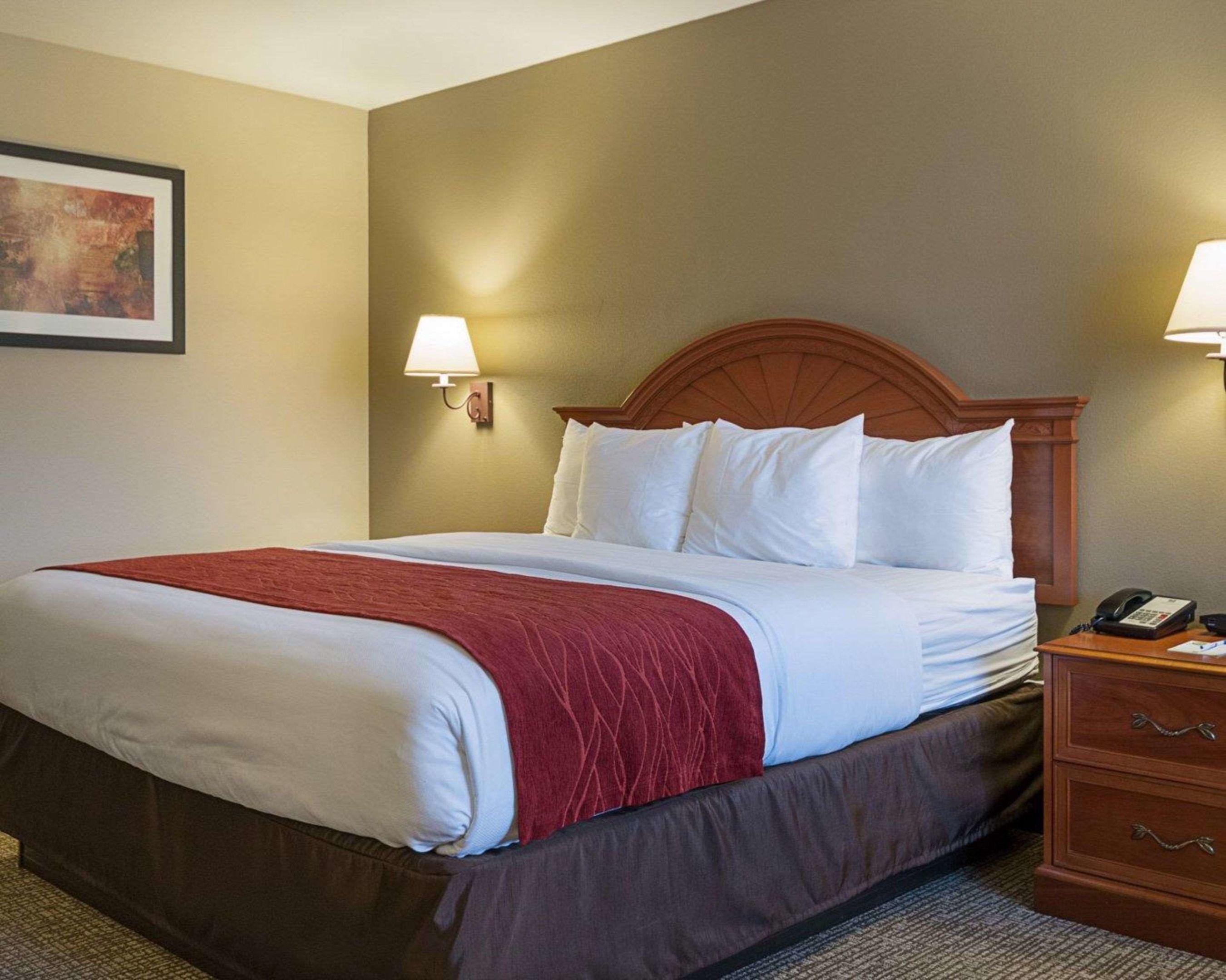 Quality Inn — photo 5