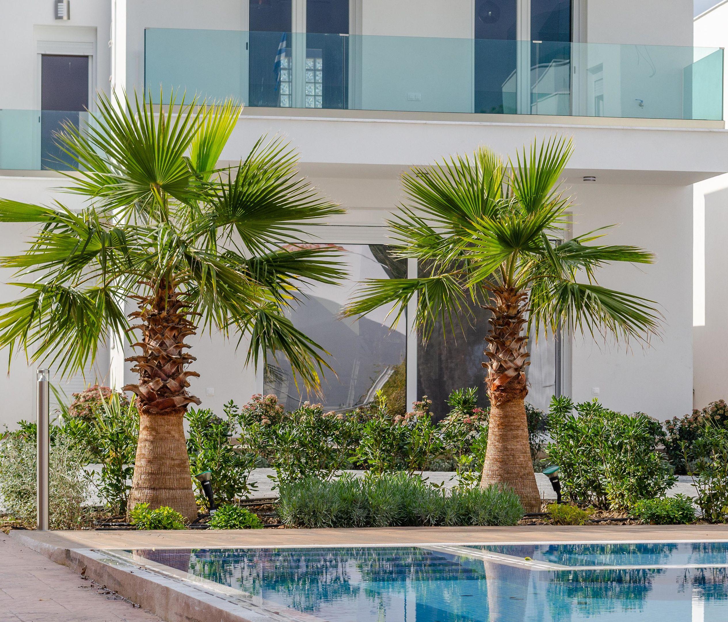 Acrotel Porto Brava Luxury Villas — photo 5