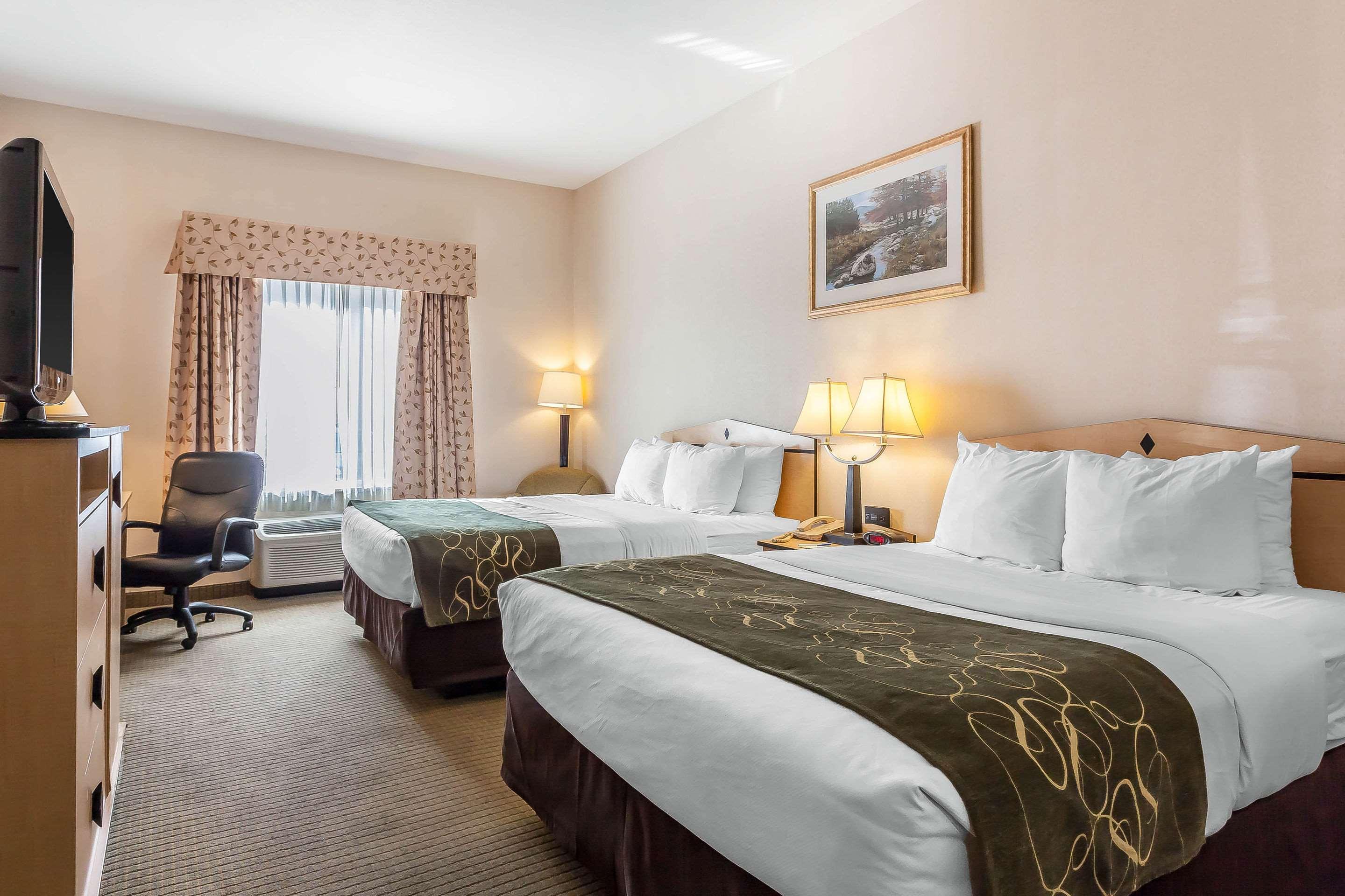Comfort Inn & Suites Airport Convention Center — photo 5