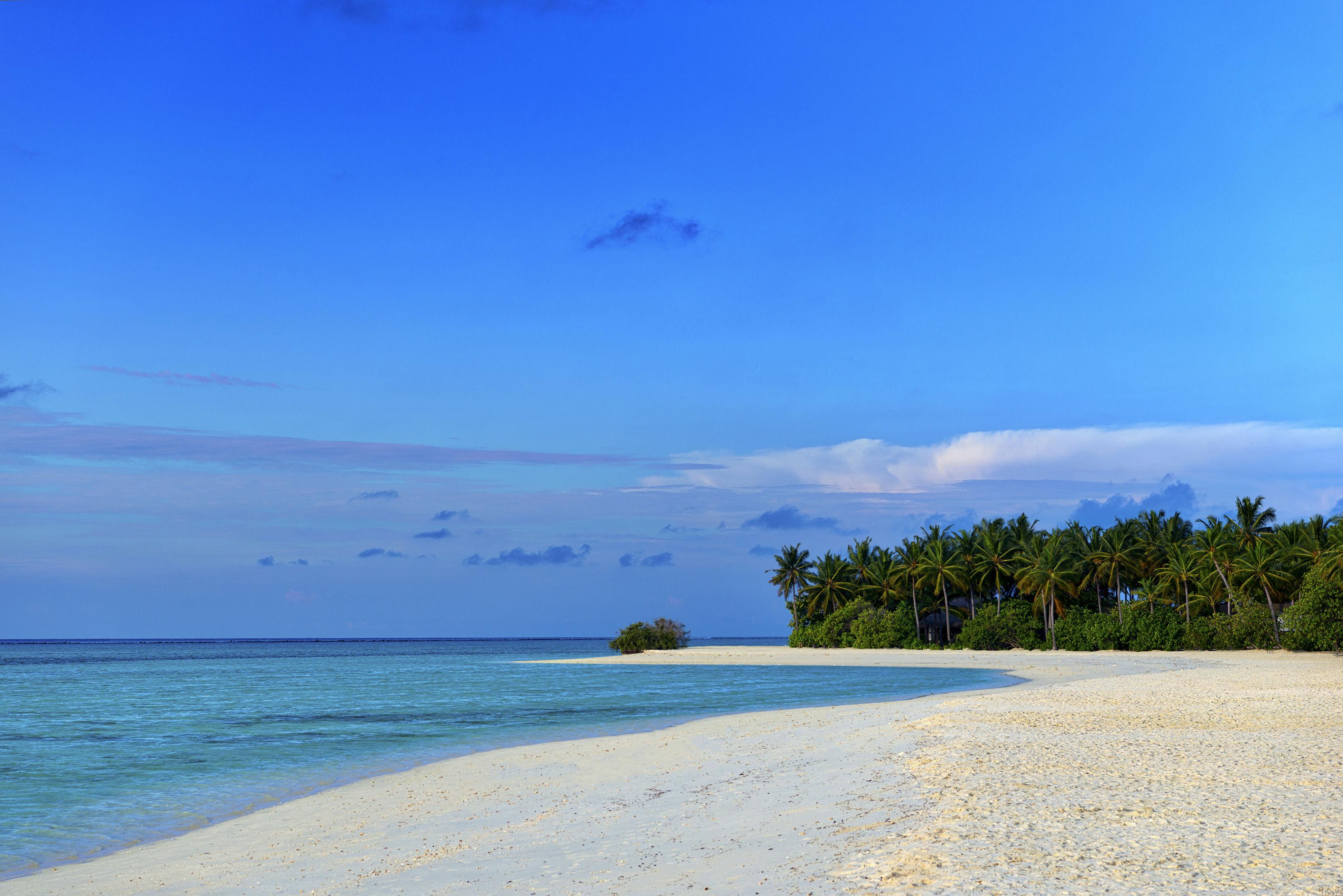 Cocoon Maldives — photo 5