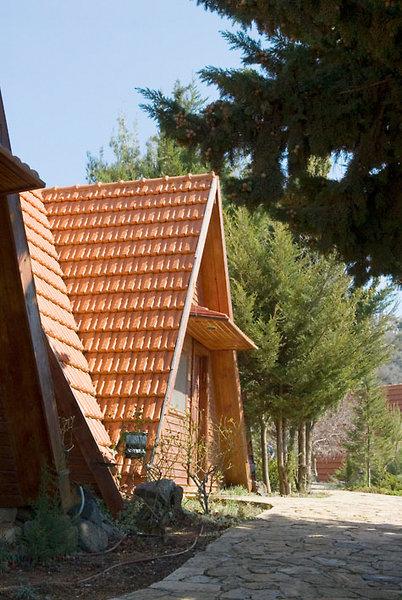 Rimonim Hermon Holiday Village — photo 4