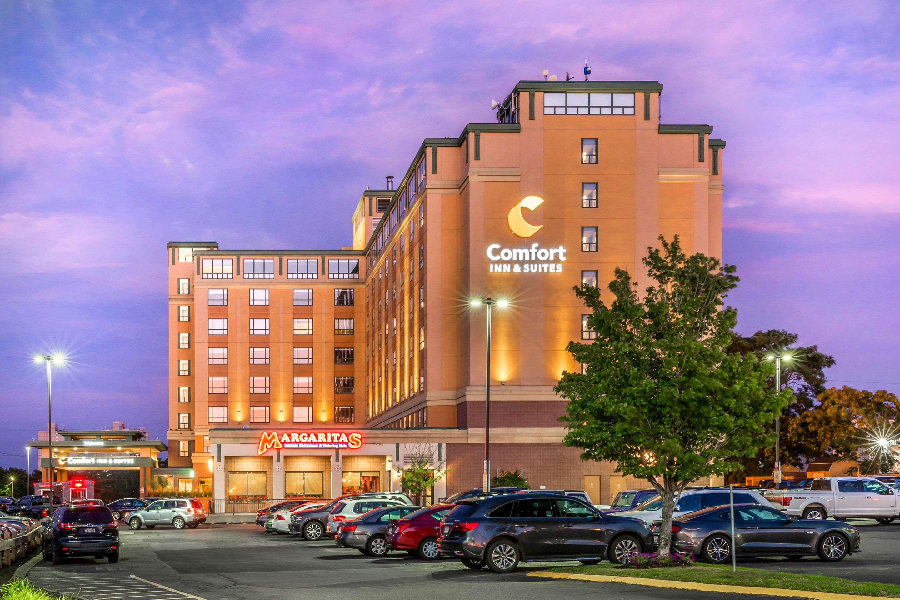 Comfort Inn & Suites Logan International Airport Boston — photo 5
