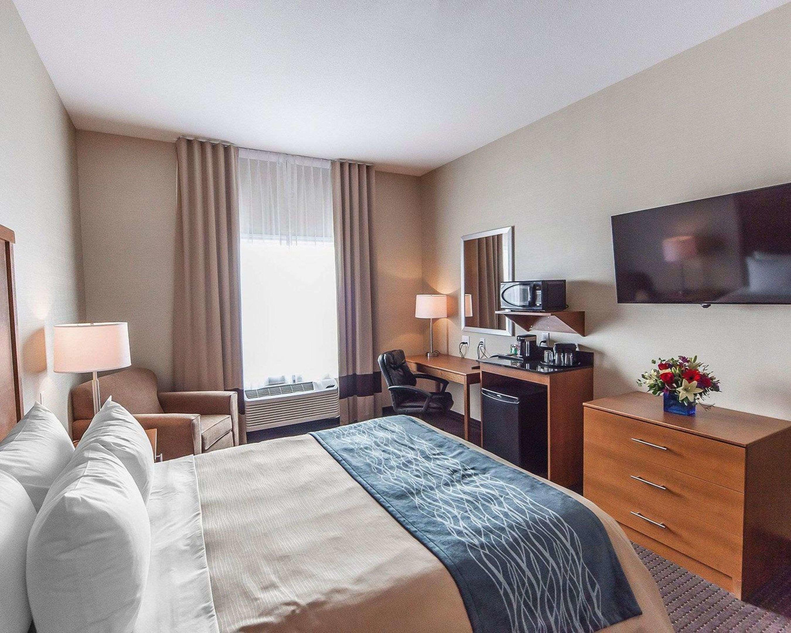 Comfort Inn & Suites — photo 4