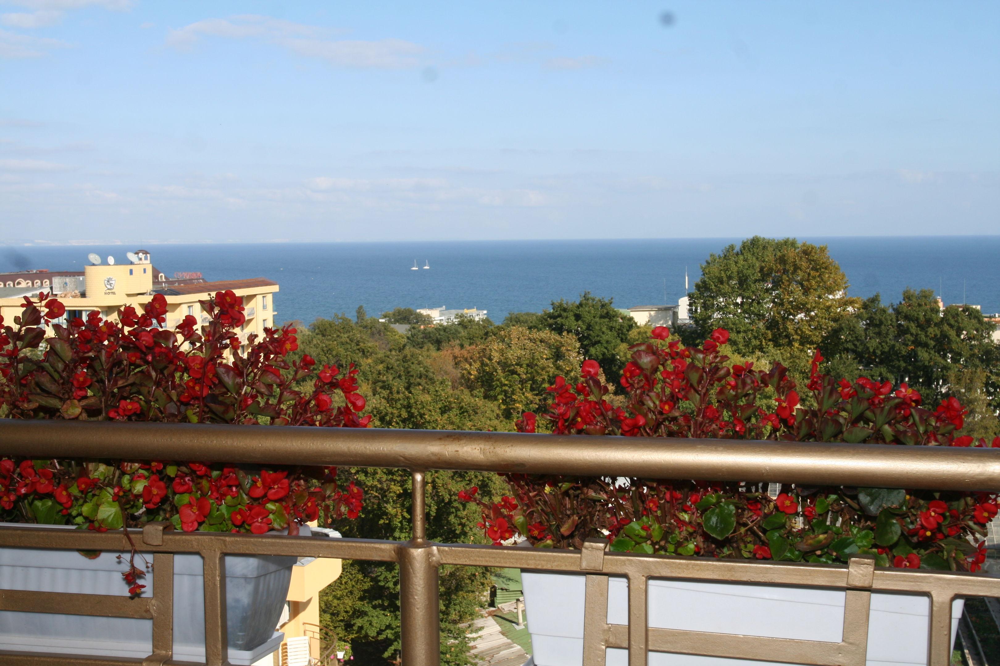 Joya Park Hotel — photo 5