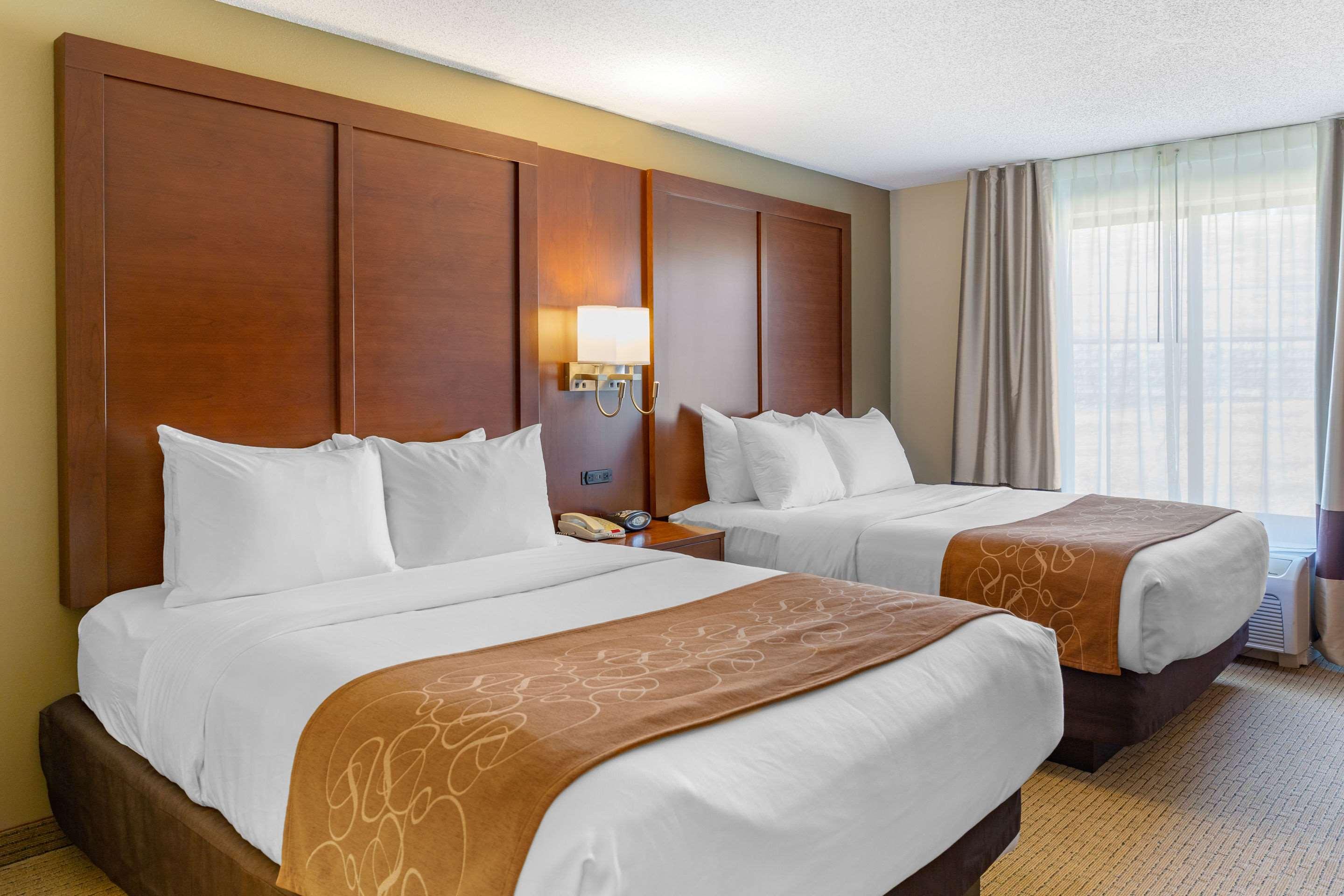 Comfort Suites Amish Country — photo 4