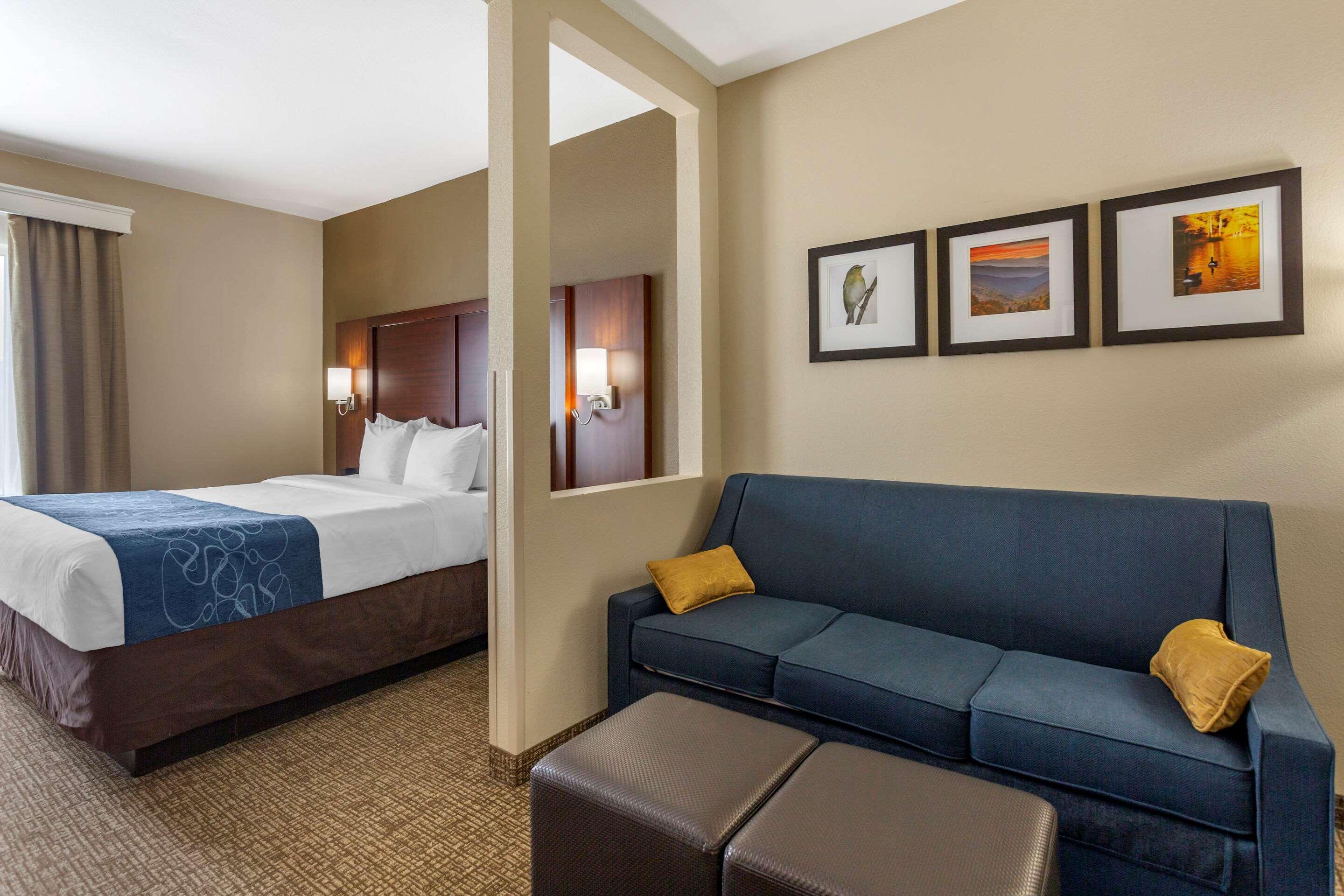 Comfort Suites At Rivergate Mall — photo 5