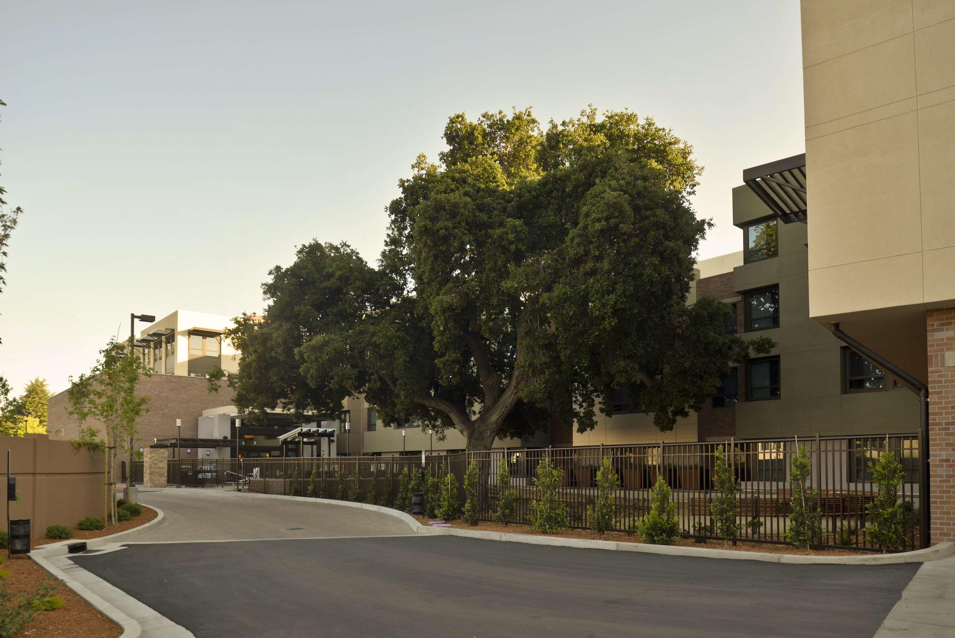 Homewood Suites by Hilton Palo Alto — photo 3