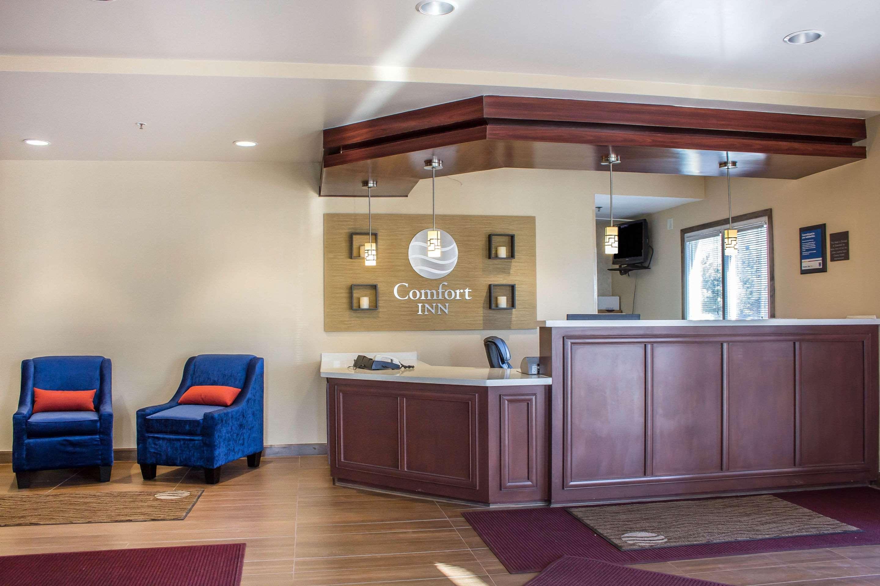 Comfort inn Lucky lane — photo 5